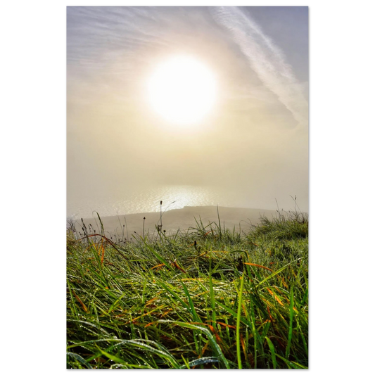 f907778e-3800-44fa-b9b8-6418e4ca6613