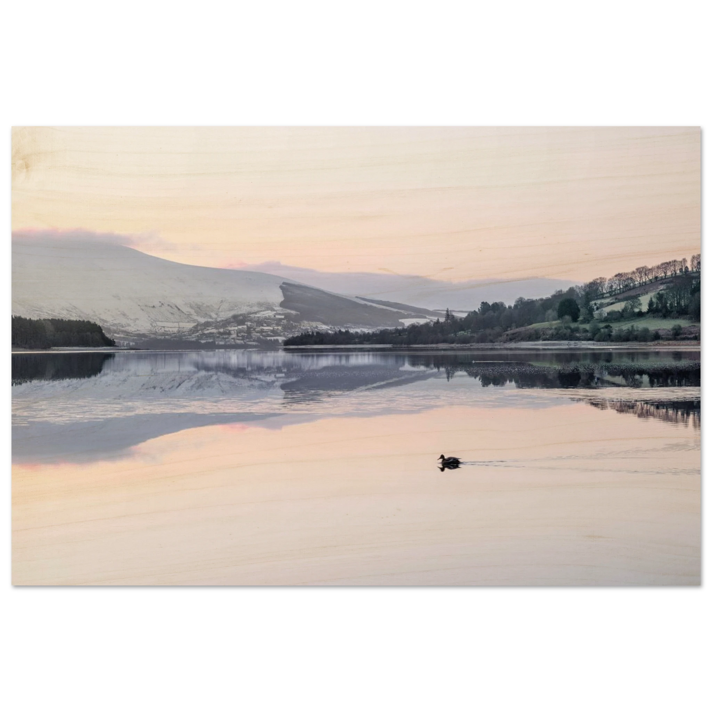 f926b17e-0155-4b47-b857-0b09a597515f