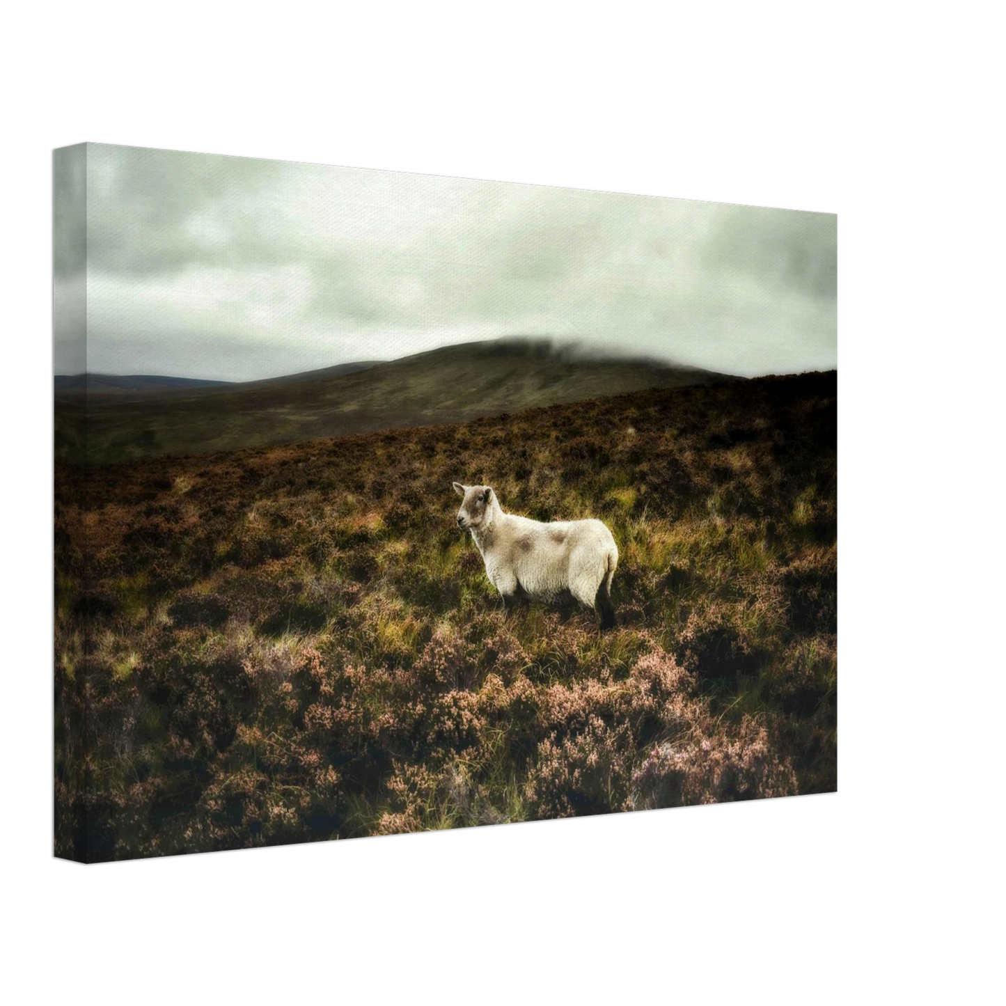 f96f348c-f42c-478a-852c-84ef9ceac7ef