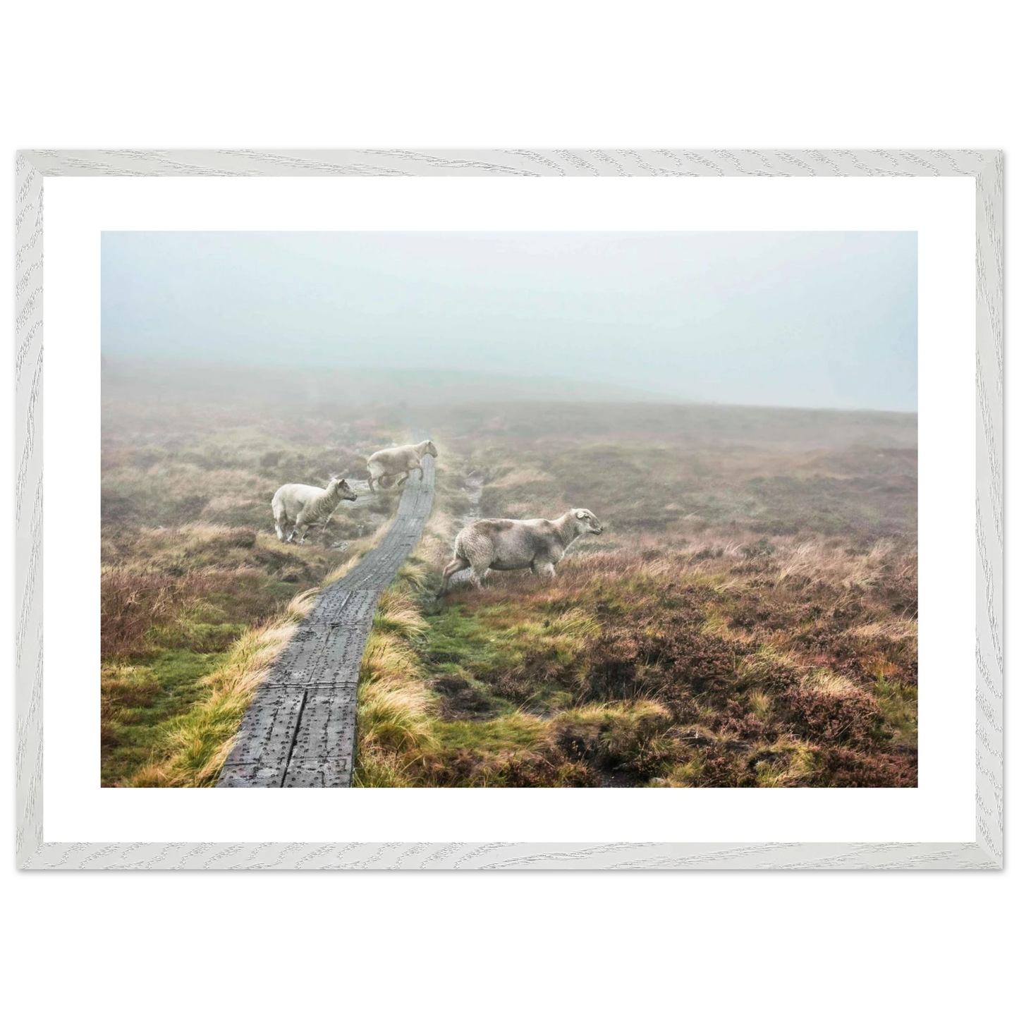 f96f81ed-f74c-406d-bbf9-f381f6f8f421