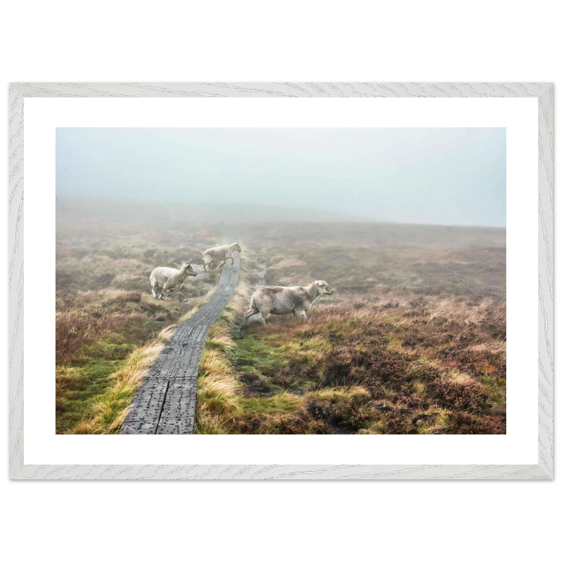 f96f81ed-f74c-406d-bbf9-f381f6f8f421