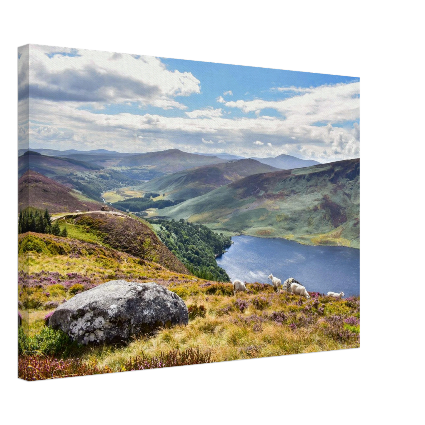 fa27a460-b3e6-4c78-91a8-335c0e9e690f