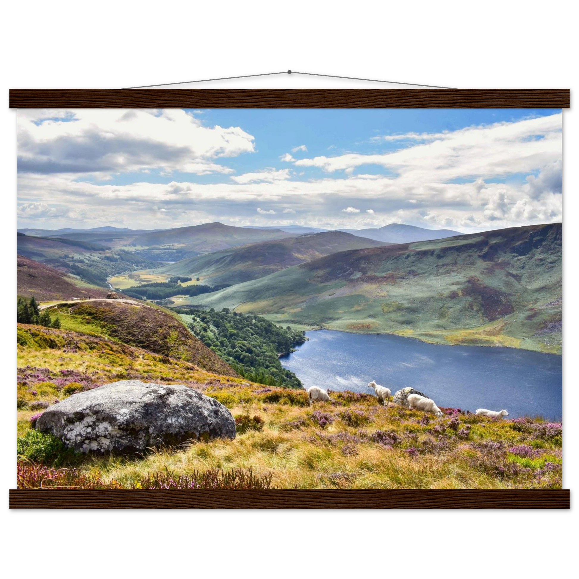 fa4fe00d-c59a-4459-ac59-aca69ff6be6a