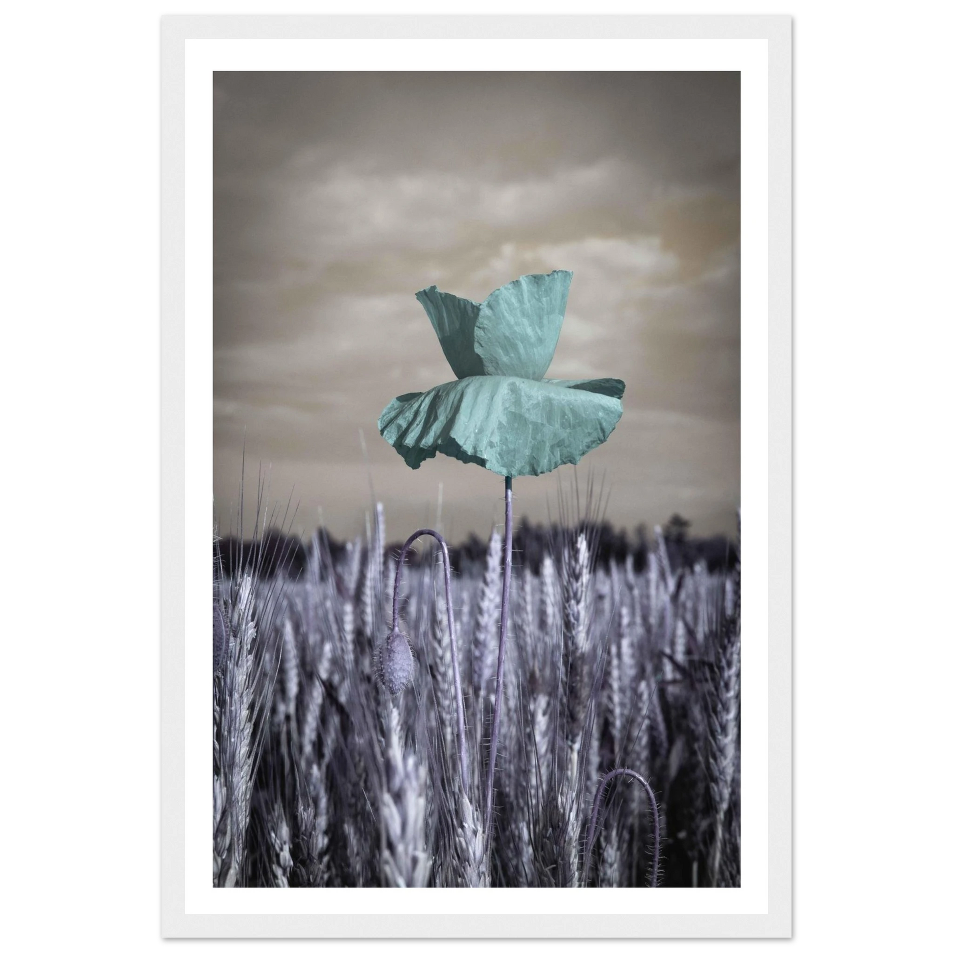 fa54328a-af50-4705-b640-301e296e5ec5