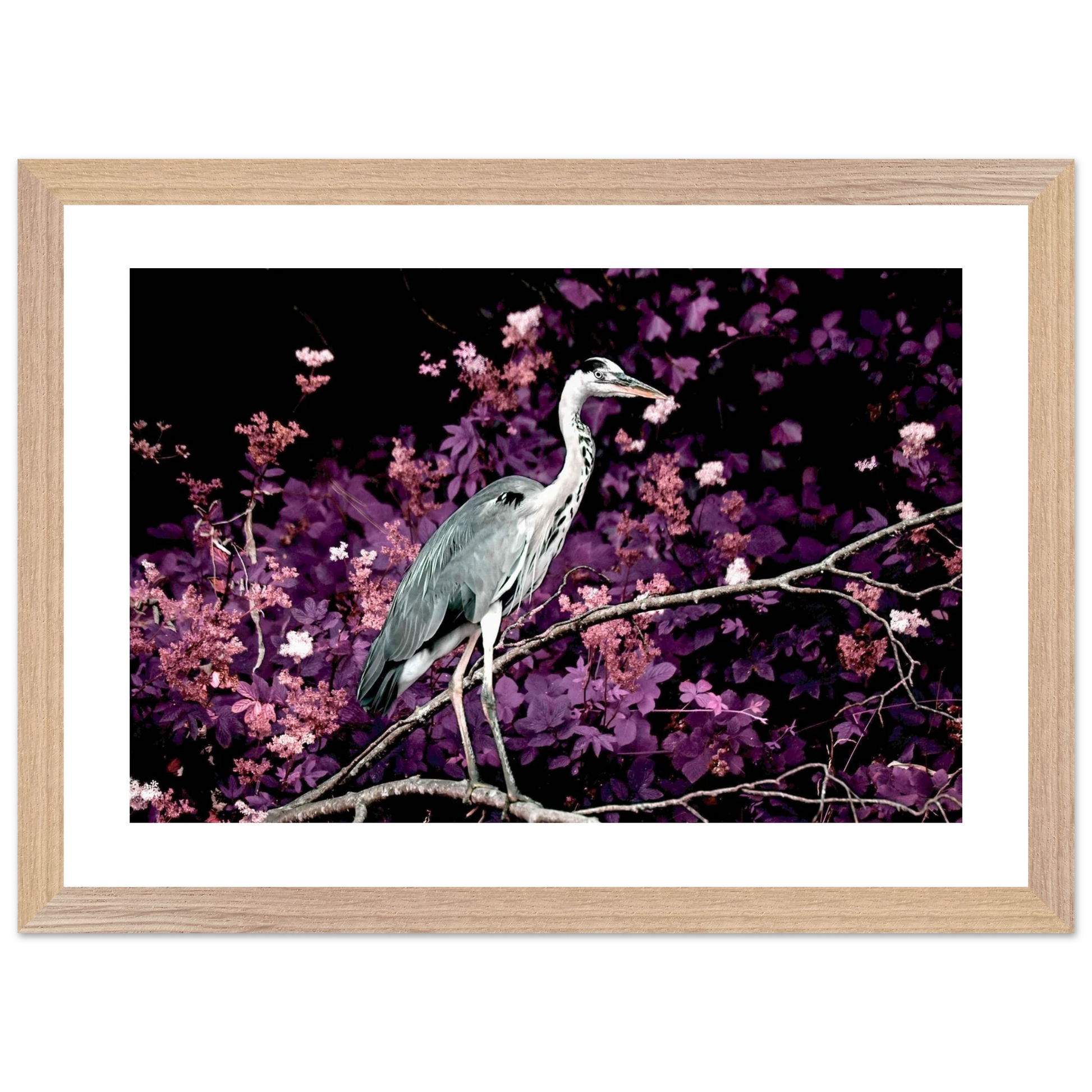 fa7747ec-68eb-4784-afab-2fd621daa4fc