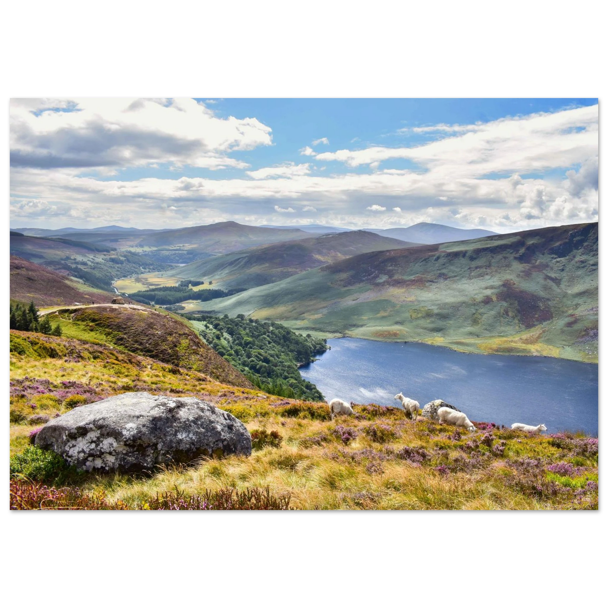 fb58741d-5a23-4a6d-a4e5-0e15bbc26c79