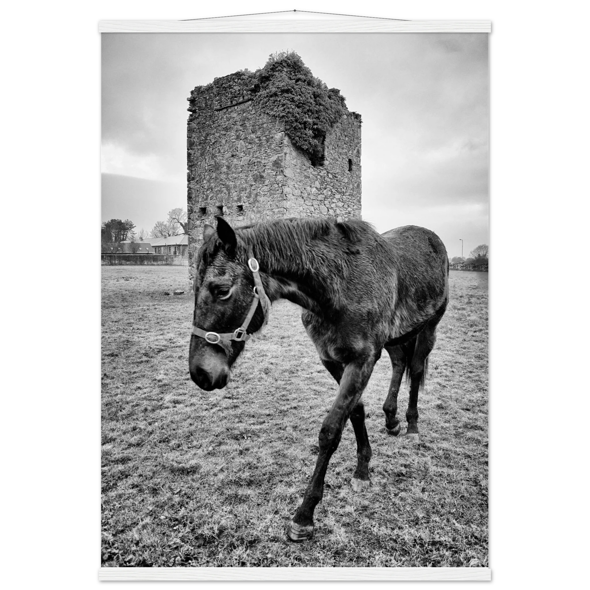 fc2044d8-4350-44b5-9f35-00748ad5bc05