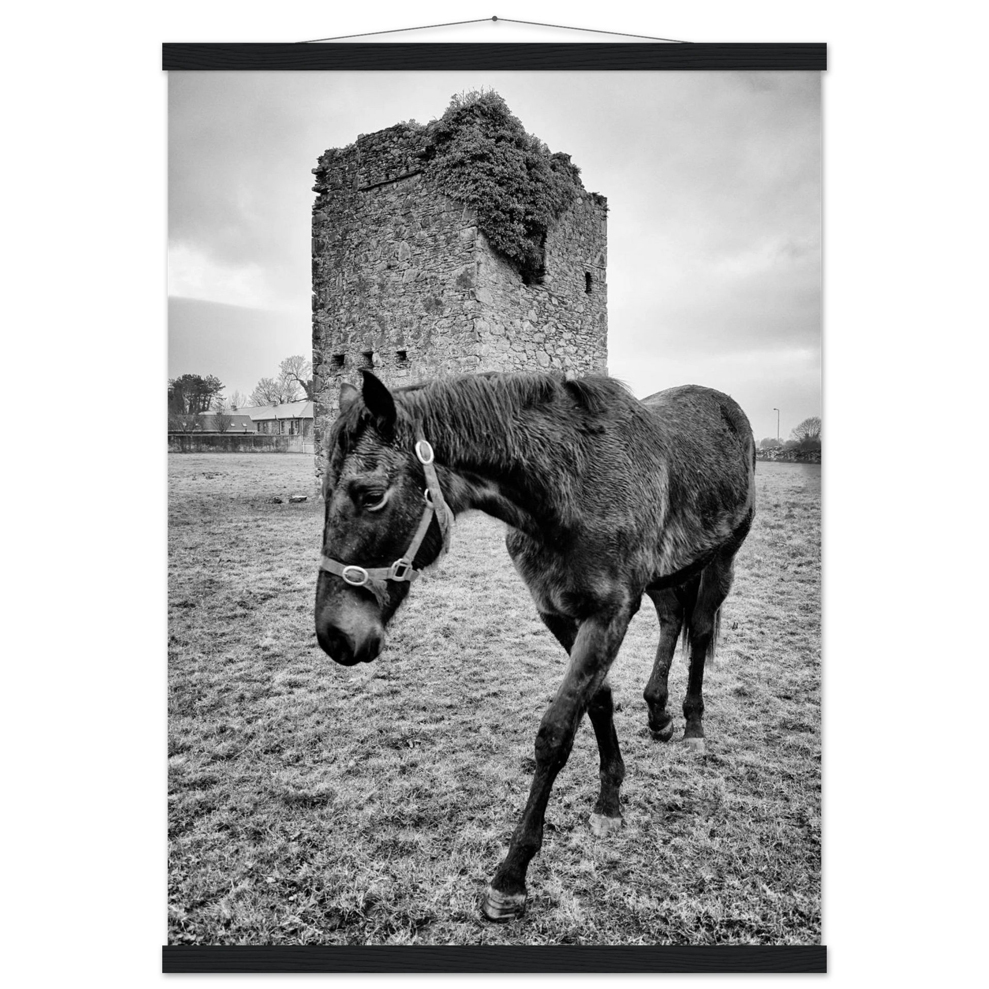 fc47ef48-5acb-4fa1-b0dc-cbbfb17810df