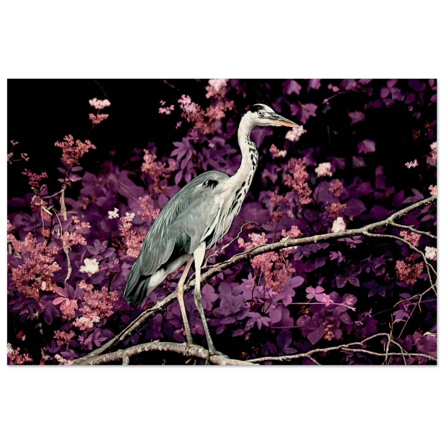 fc80b98a-7a00-4a62-b0dc-cae11f8213bd