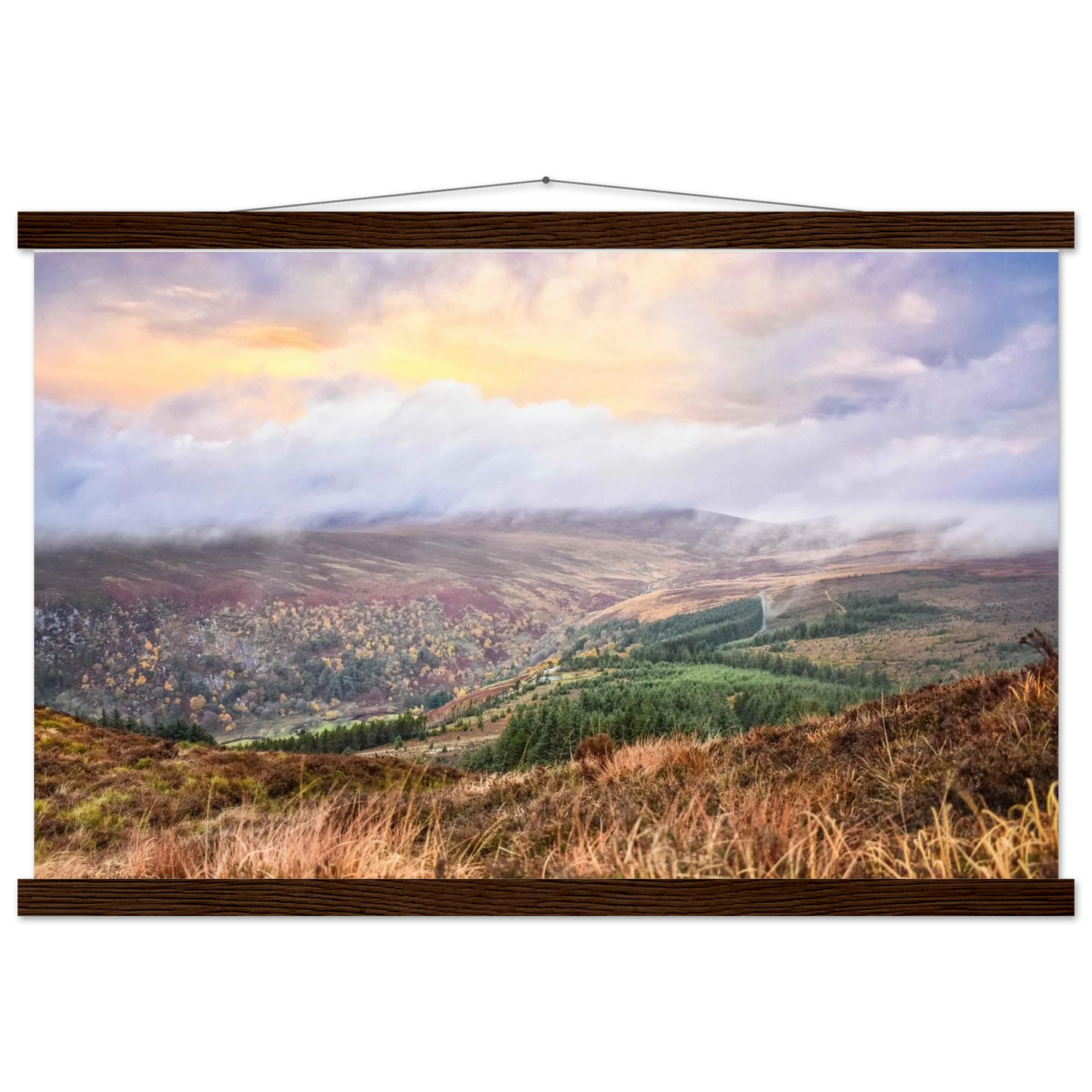 fc974862-2c1f-4180-b995-ab43a7170185