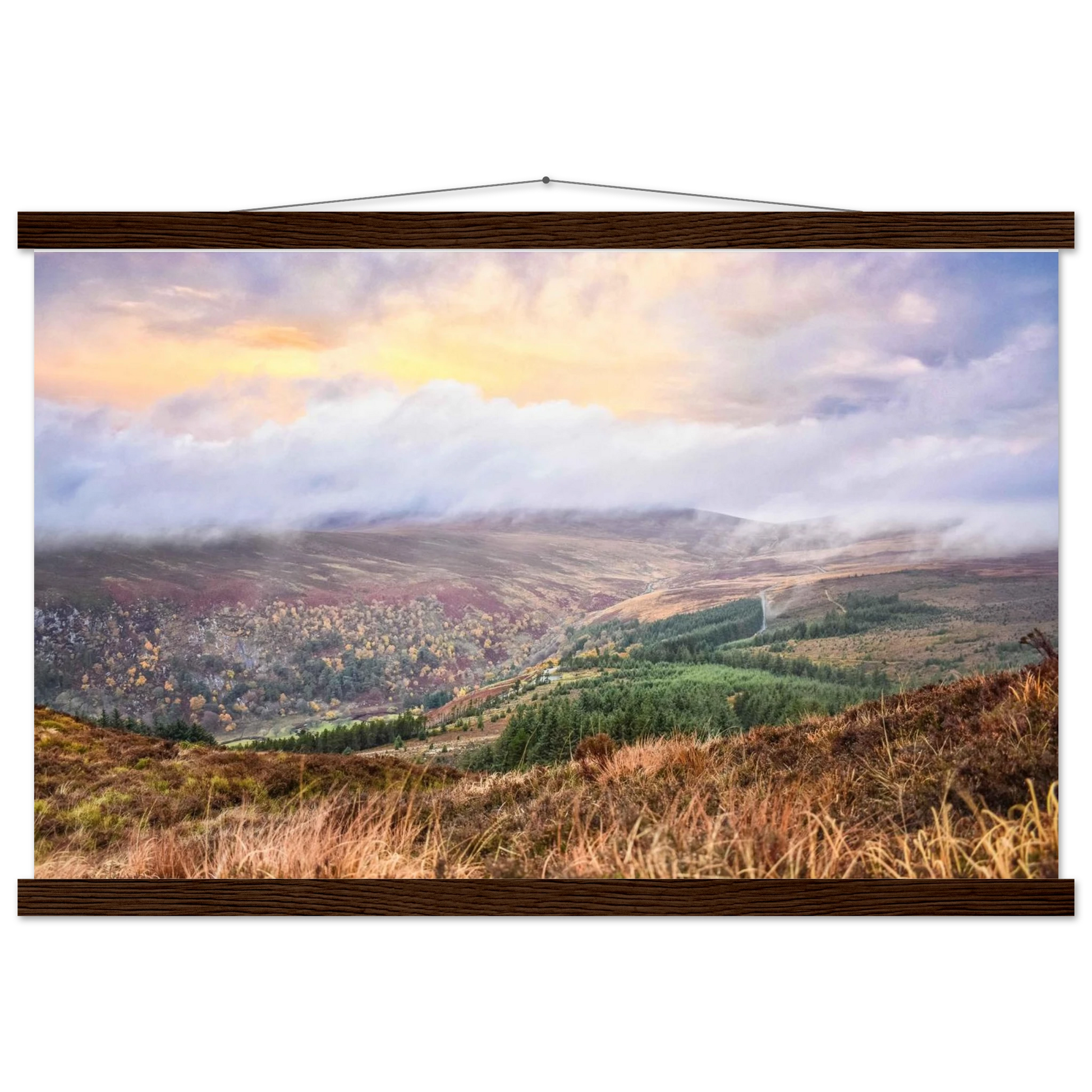 fc974862-2c1f-4180-b995-ab43a7170185