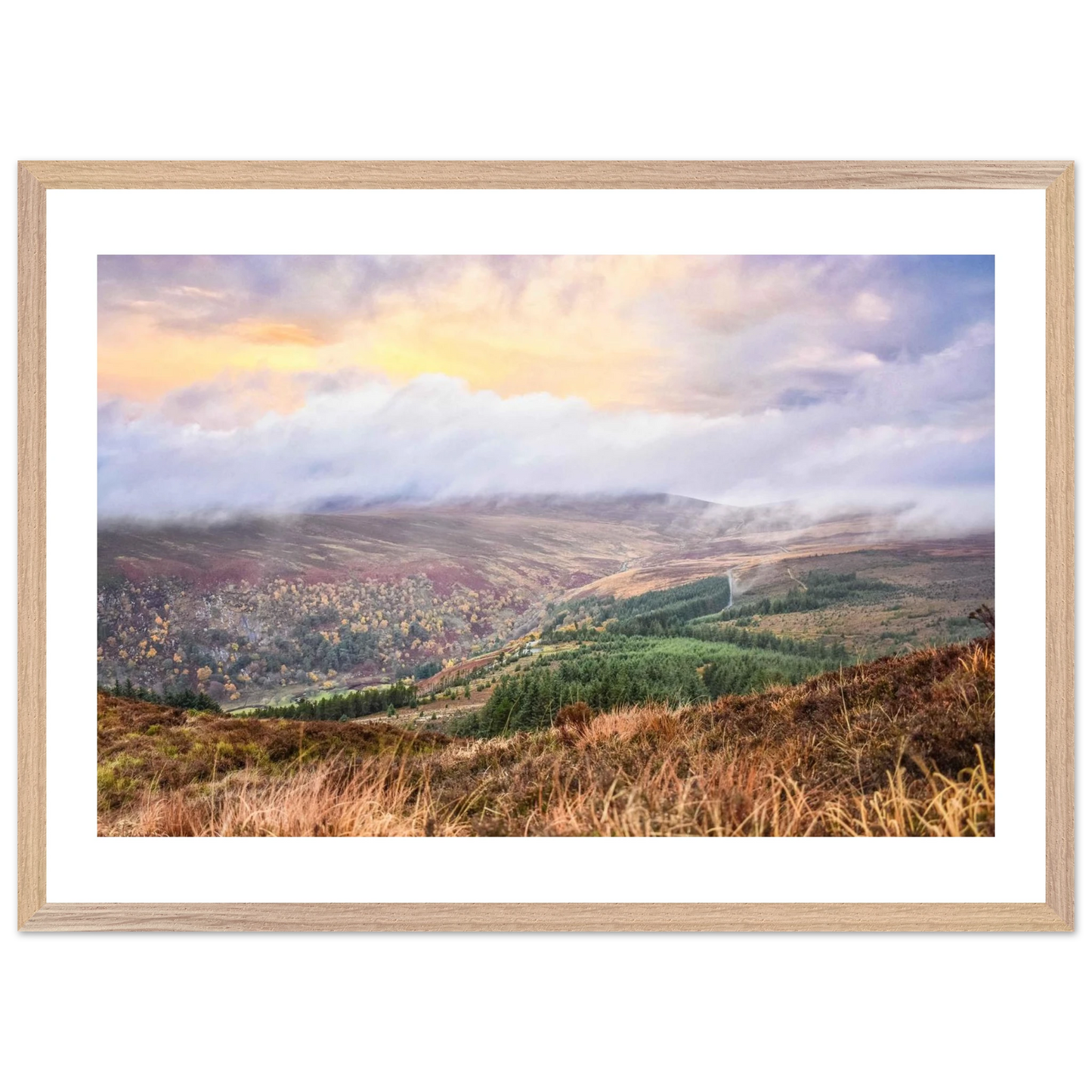 fcb0cd3f-fb92-4e47-a849-50e9d9cb6e09