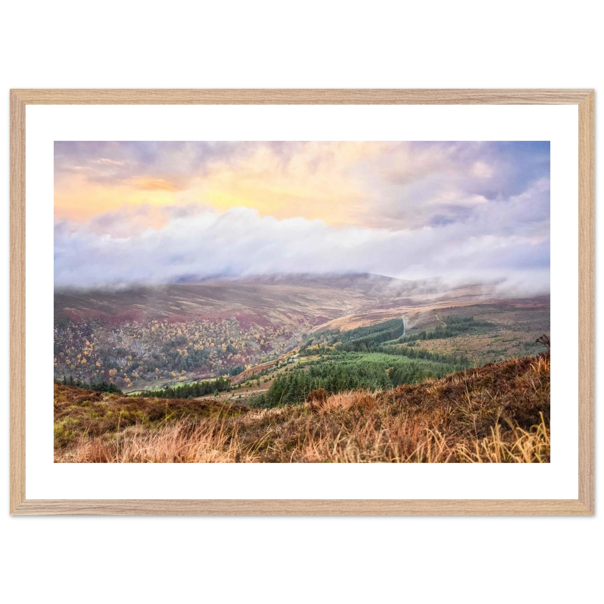 fcb0cd3f-fb92-4e47-a849-50e9d9cb6e09