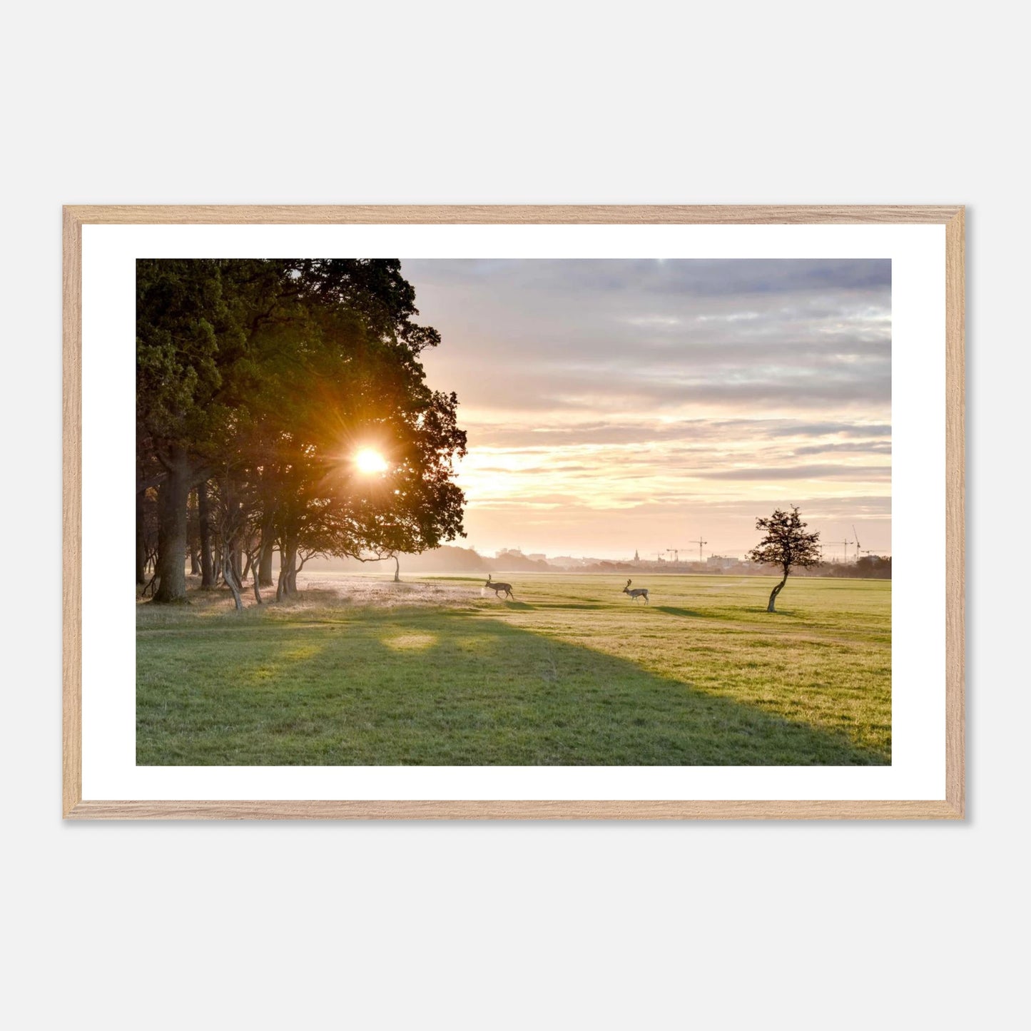 fcb897ea-d25f-4006-88dd-d5c8024a0f7f