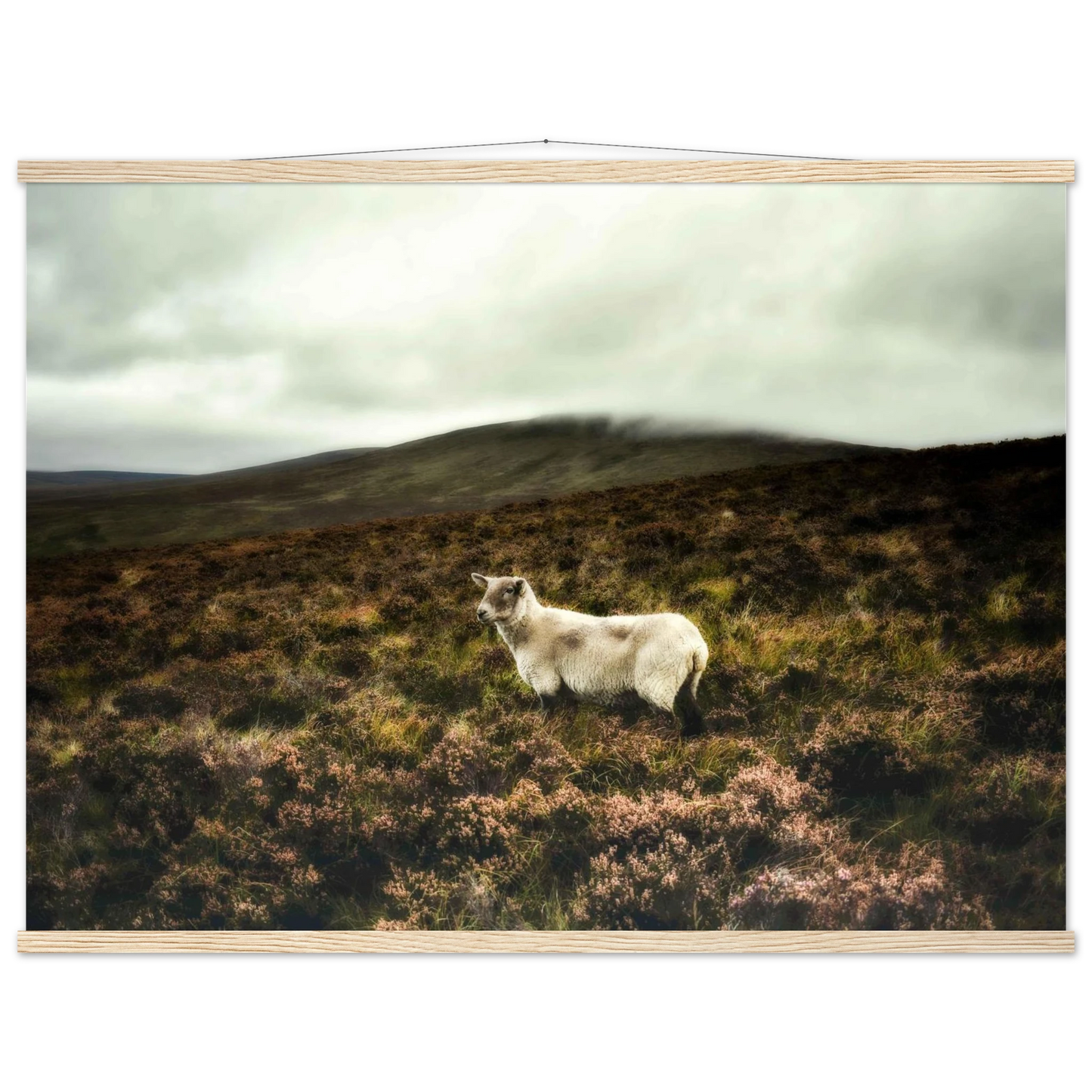 fccd0191-db63-4efd-806f-66c5266dac80