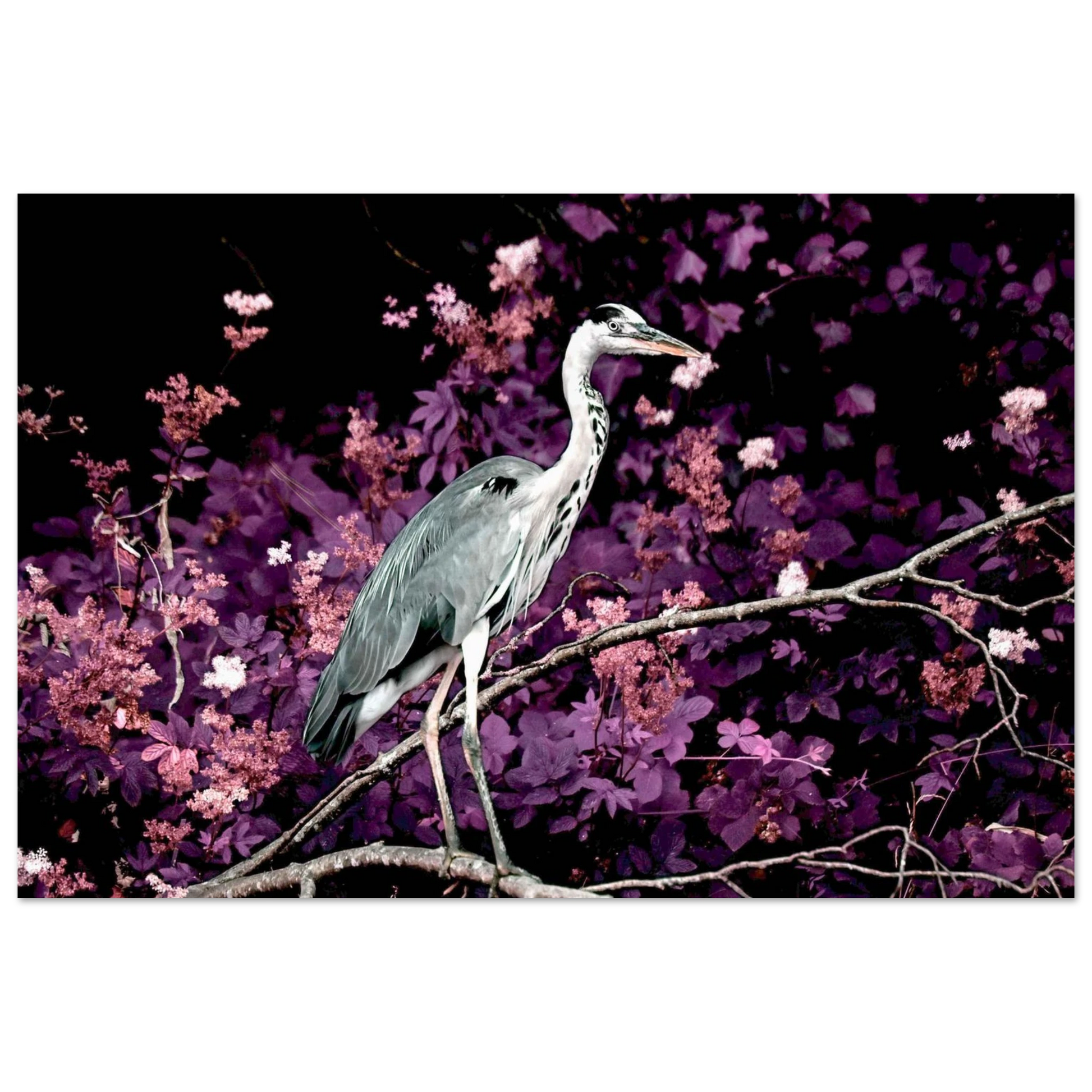 fd4f50d3-8123-4afa-8855-c06a99815e69