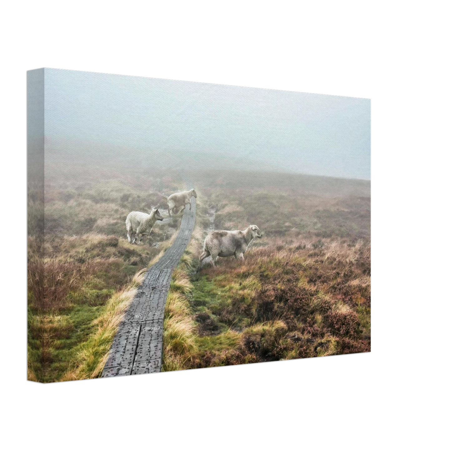 fd585dda-3e3d-42b9-9b96-daddca455397