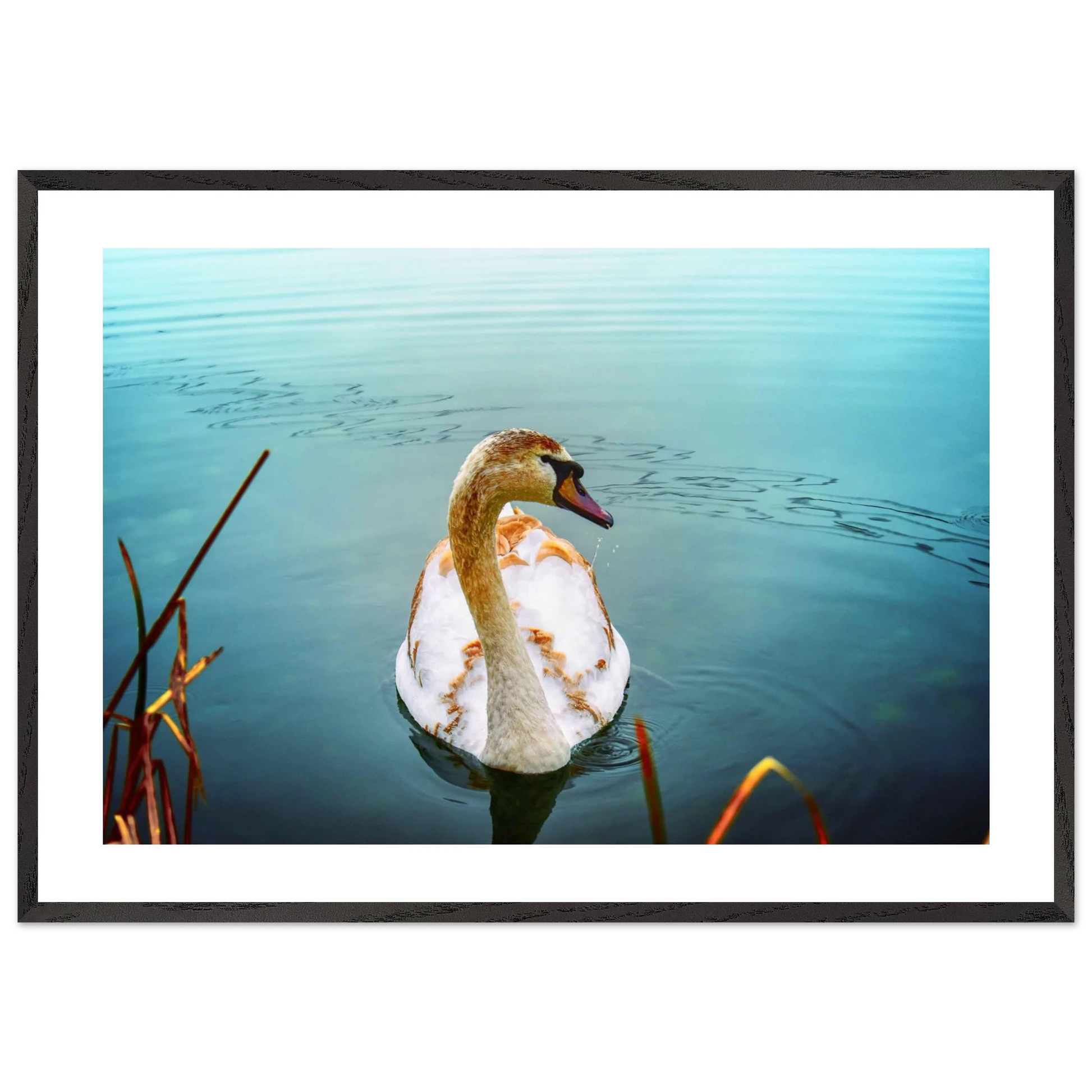 fe0368d0-7357-4349-89d4-fbee08e985a1