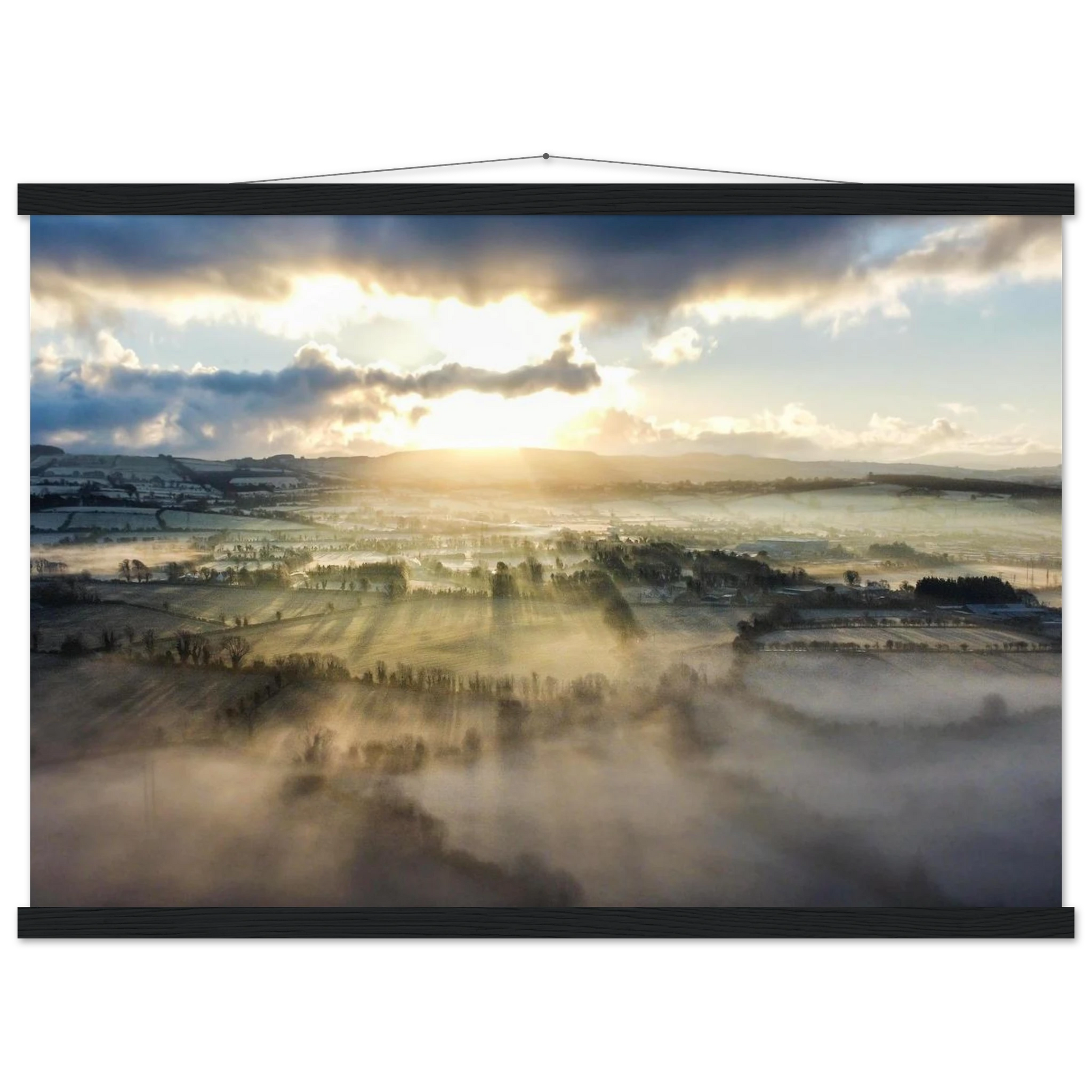 fe101ee6-41d9-408a-8533-873a42754911