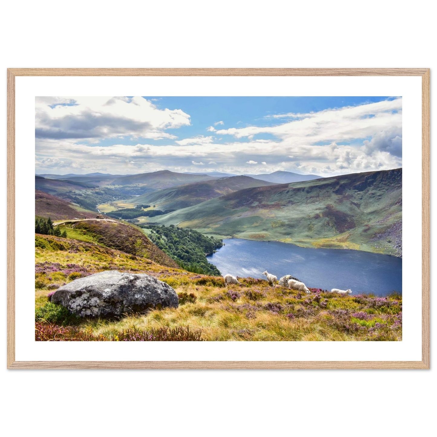 fe4e1959-faa3-4e56-8924-467e90fc7a91