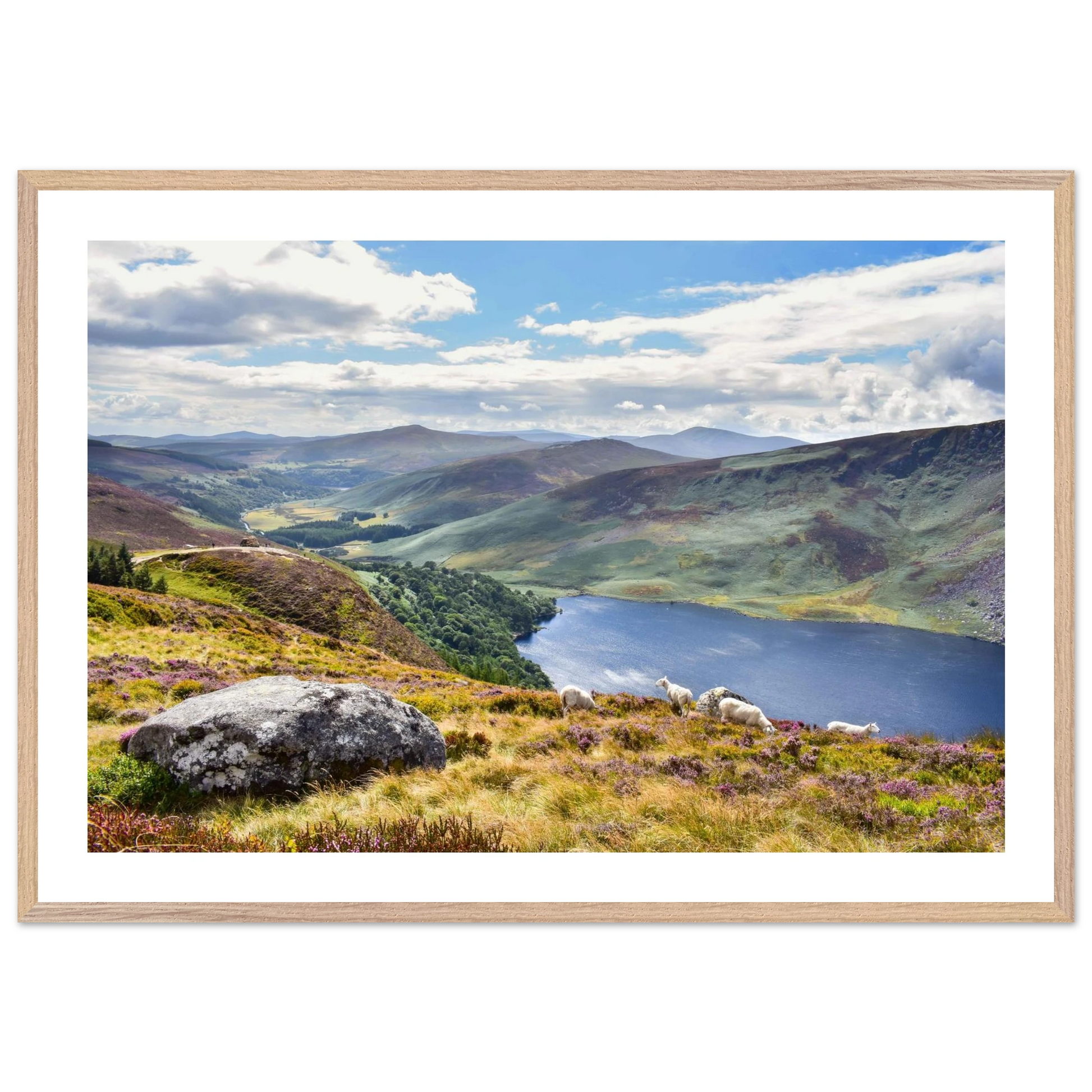 fe4e1959-faa3-4e56-8924-467e90fc7a91