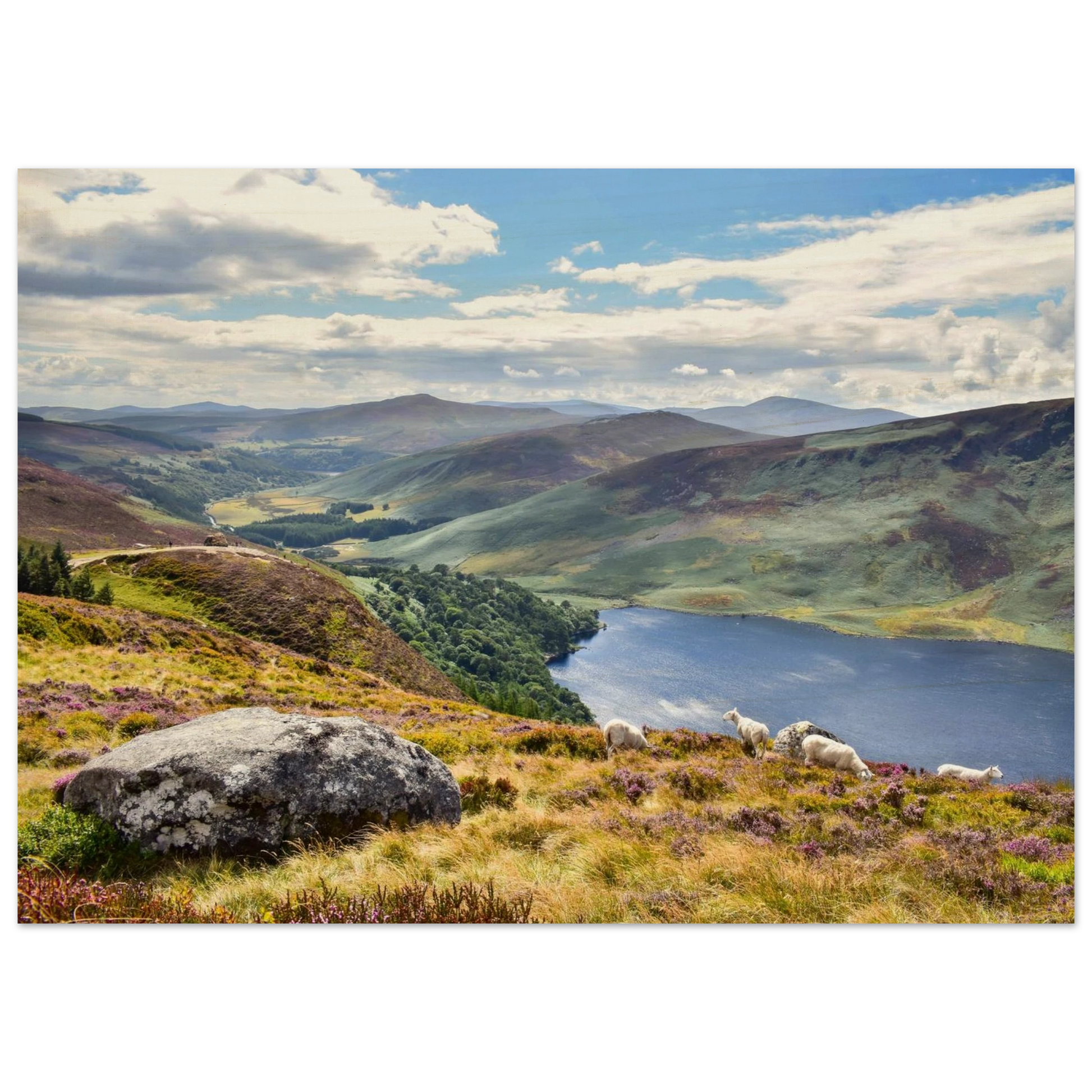 fe7438b5-1001-4bc2-ae81-6759b5144728