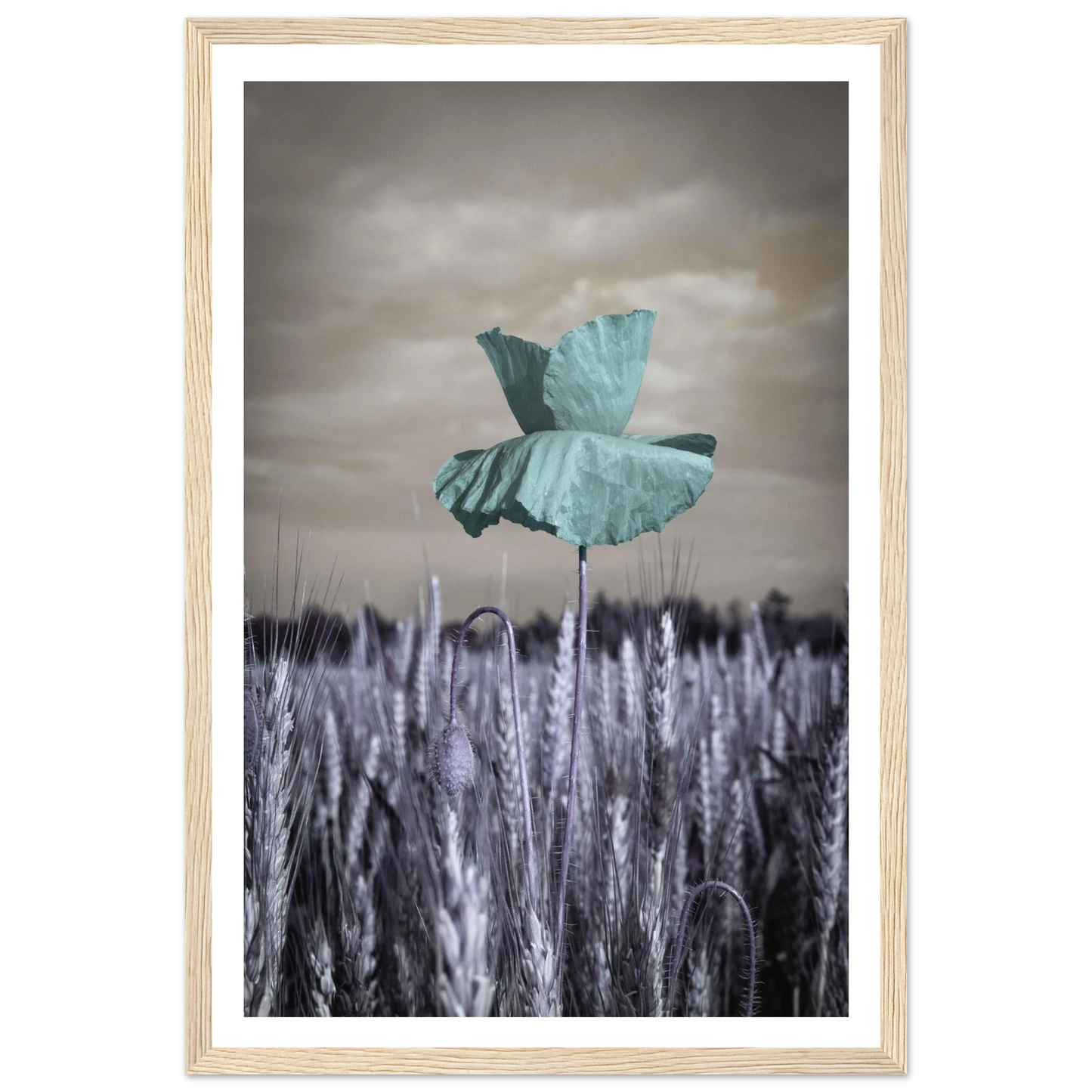 fe7ba8c4-836f-49b6-b1ea-fb112575c1db