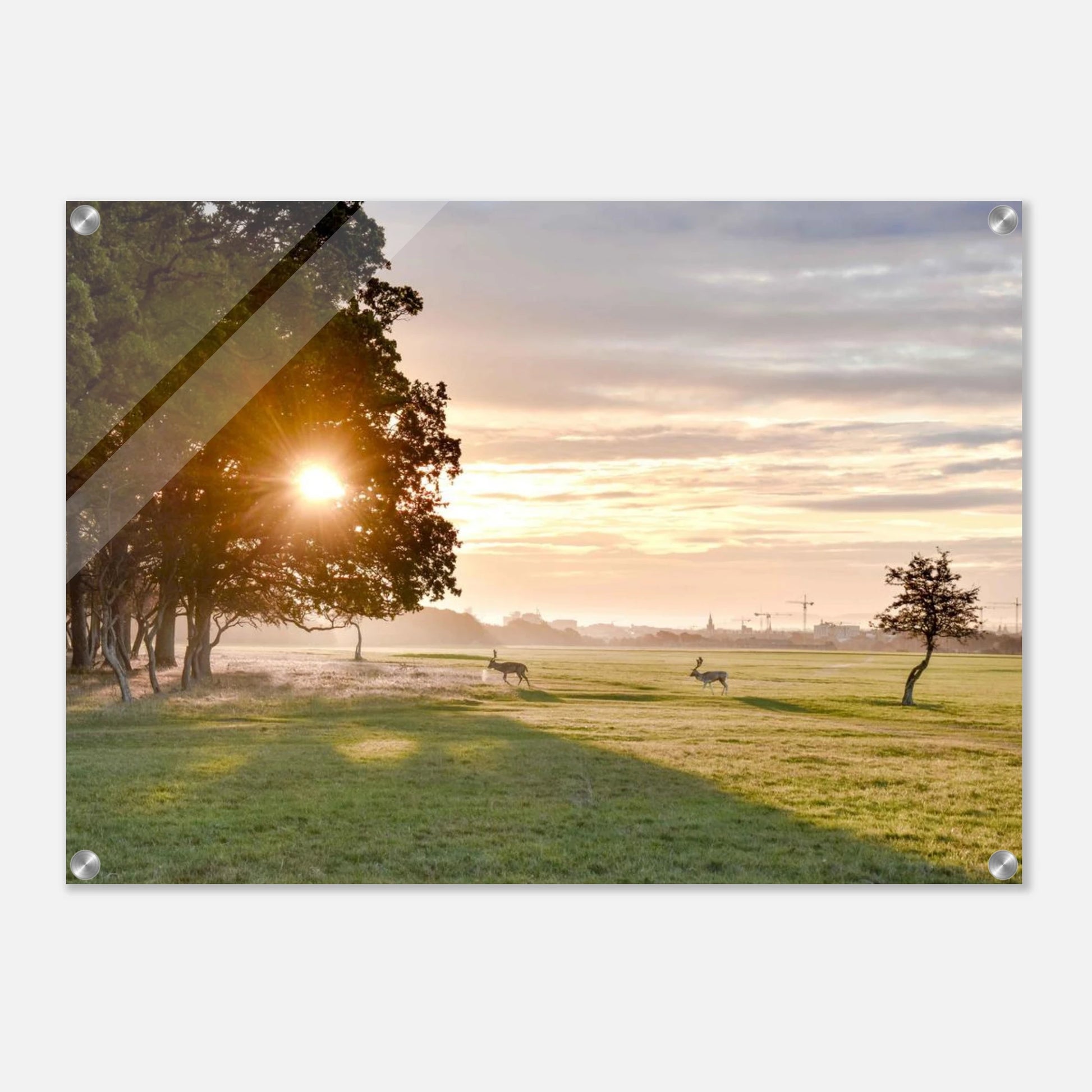 feee33b7-fda7-463f-87cf-dad462da7d0b