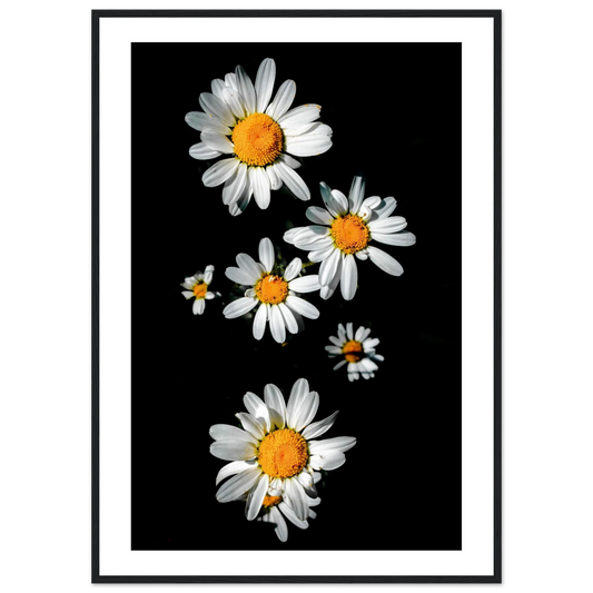 ff050b56-a067-4b61-902c-bd151108c091