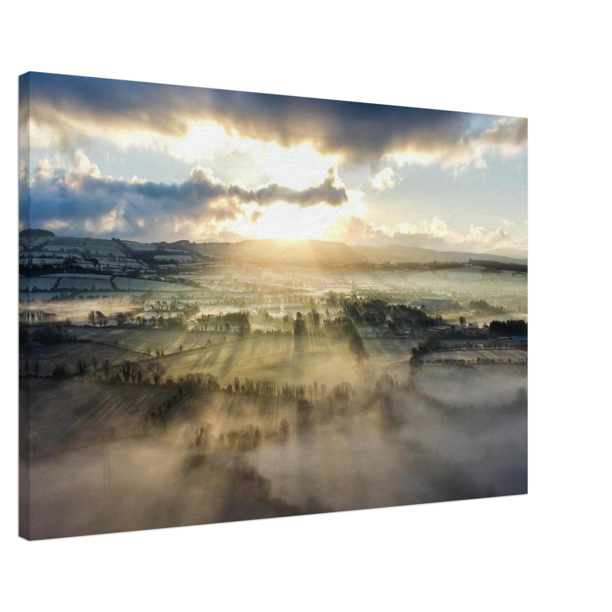 ff5b2a17-60dc-4cd8-ba1b-2d1fb0818143