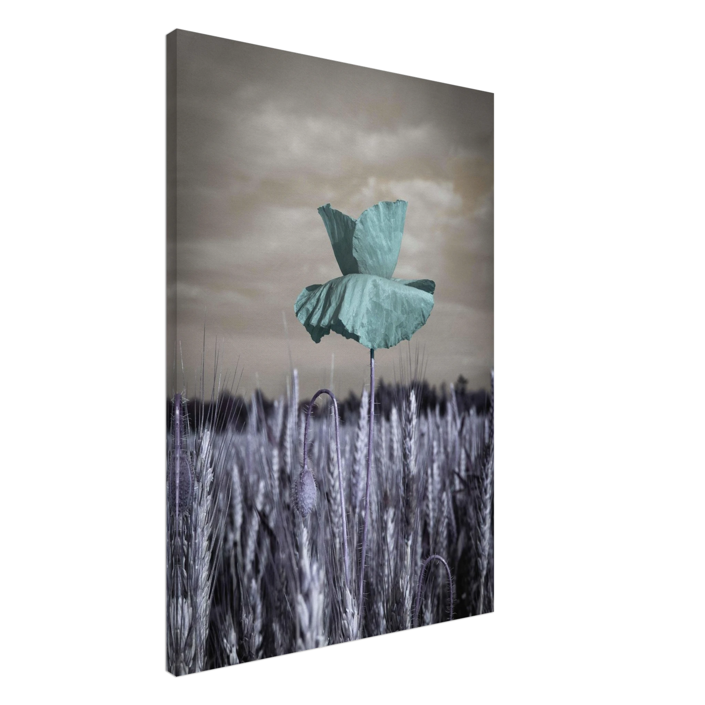 ff64947b-8575-4fb8-ba88-c5336298ced4