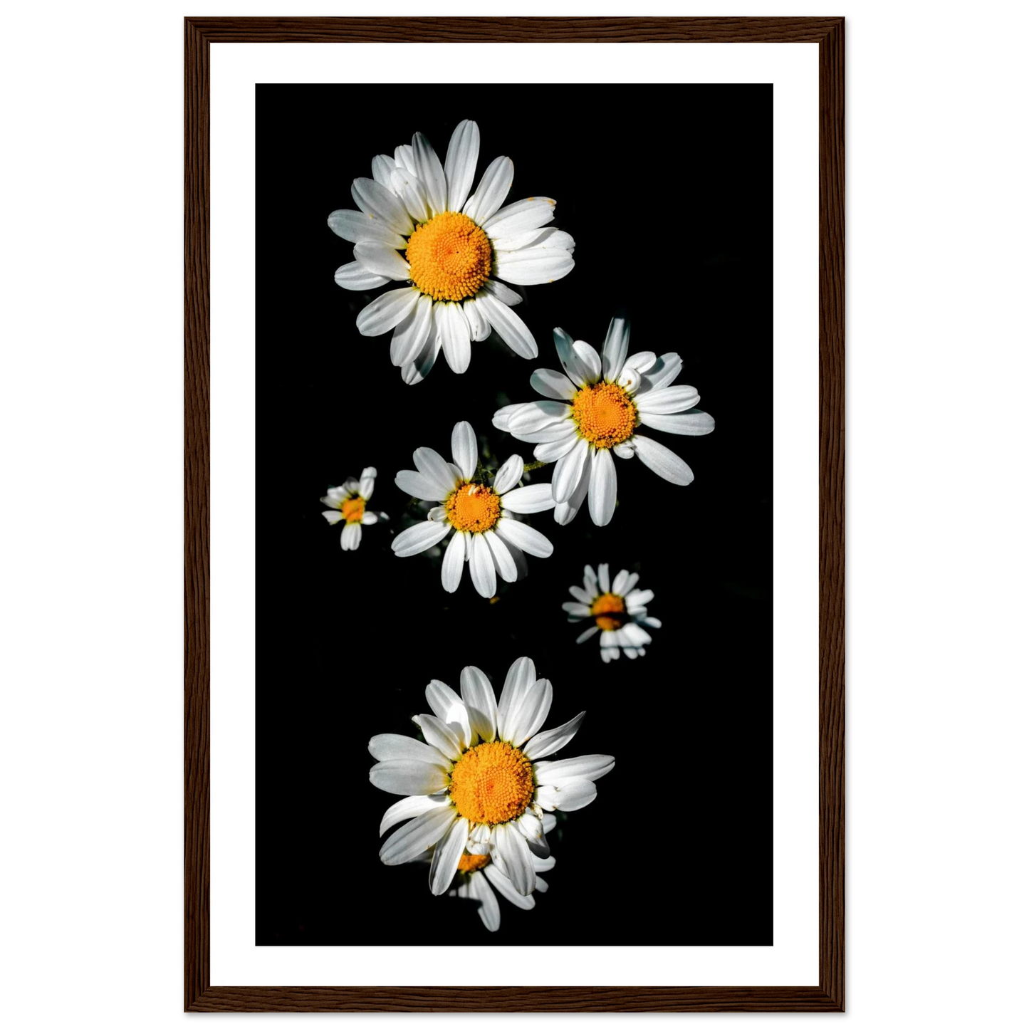 fff2bc88-c4ba-40b6-a31b-47ed9c58b51e