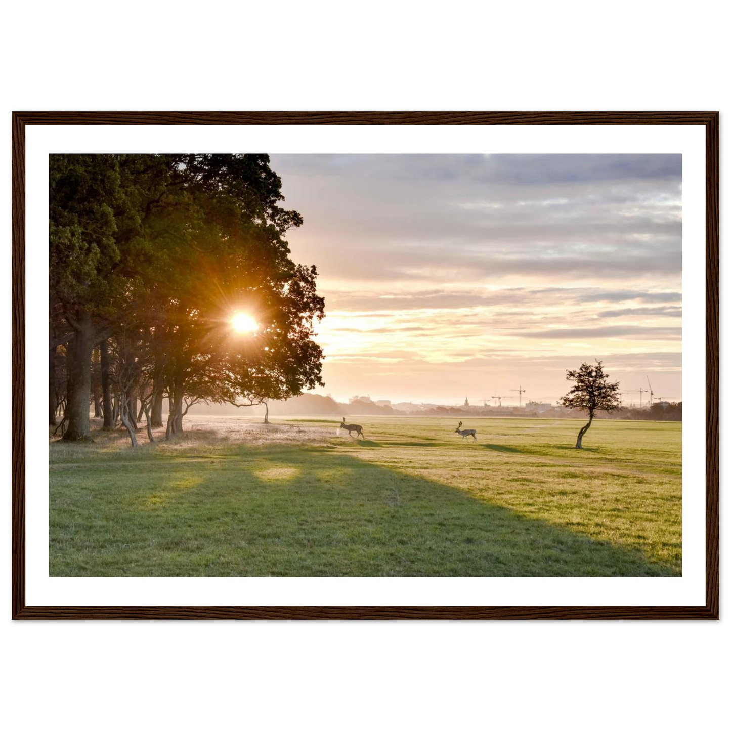 00621837-e74f-4dce-8638-aa3af25c0f9a