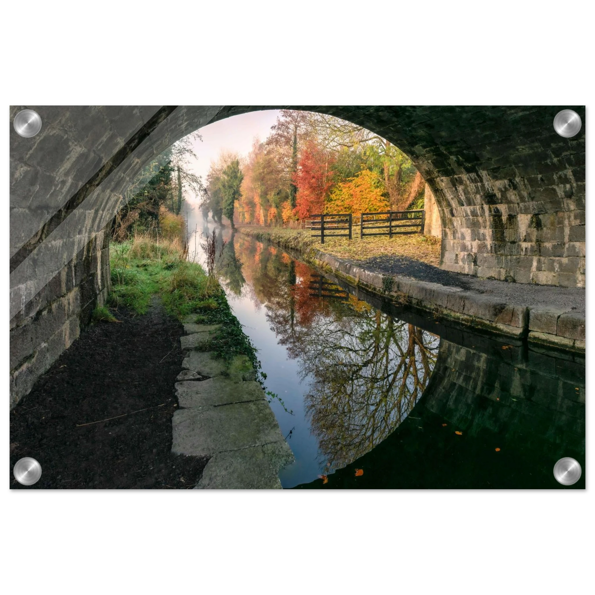 0077ee81-f161-4ca8-acb1-76b859114a60