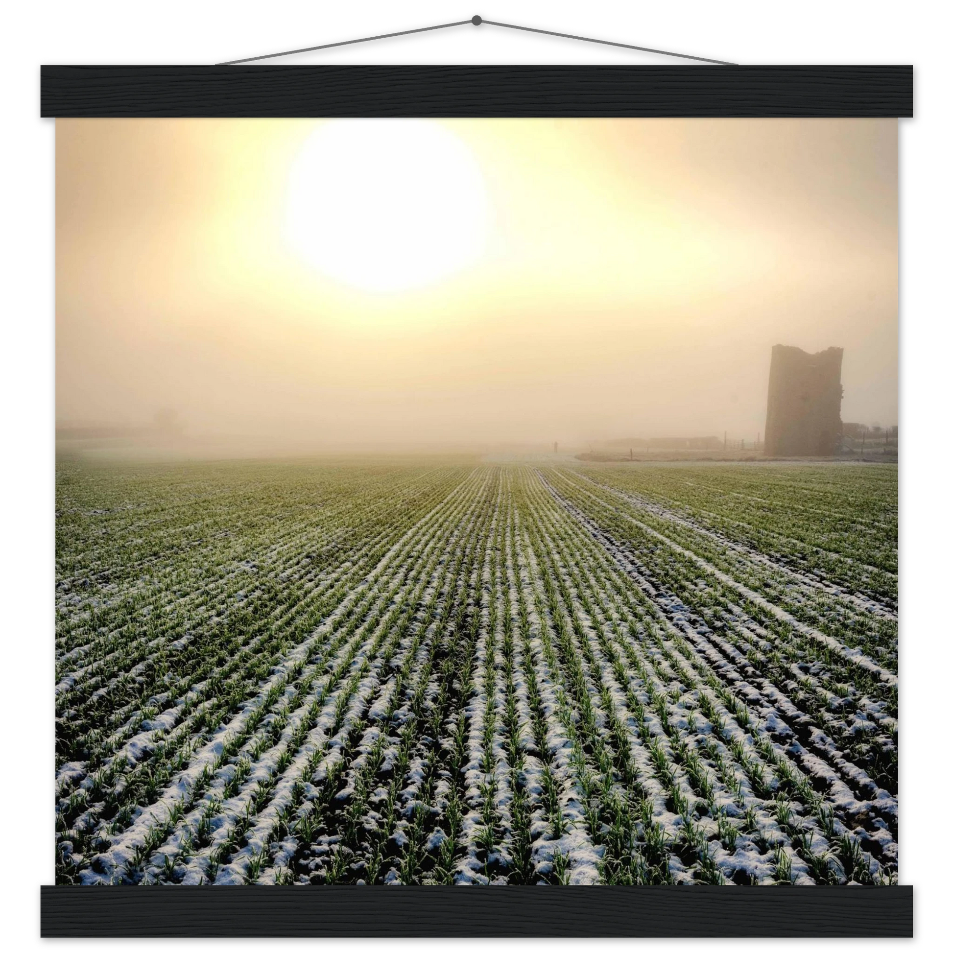 00c8977f-c726-487e-83b6-38328ad05566