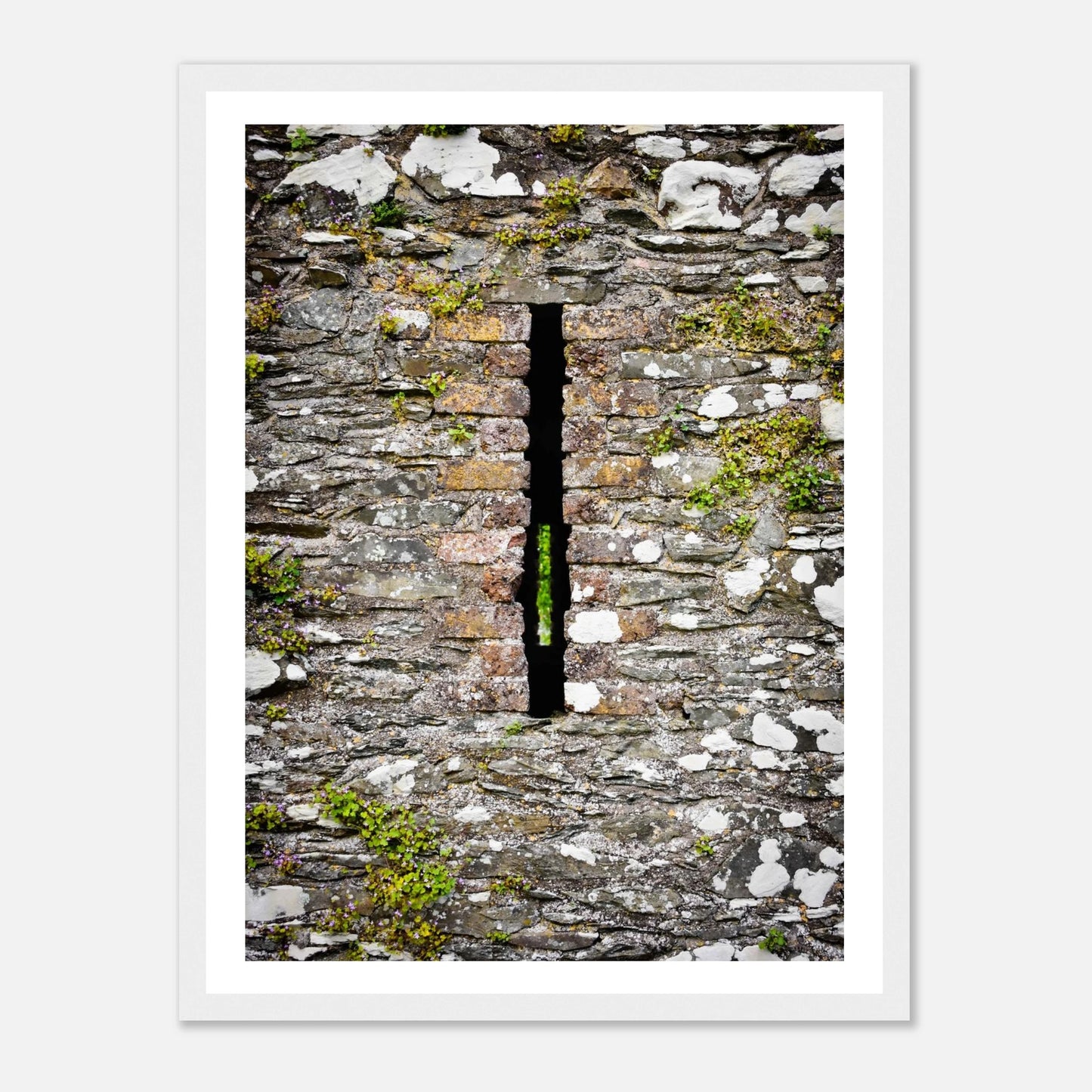 012daacf-8352-4868-b90c-0b079787e559