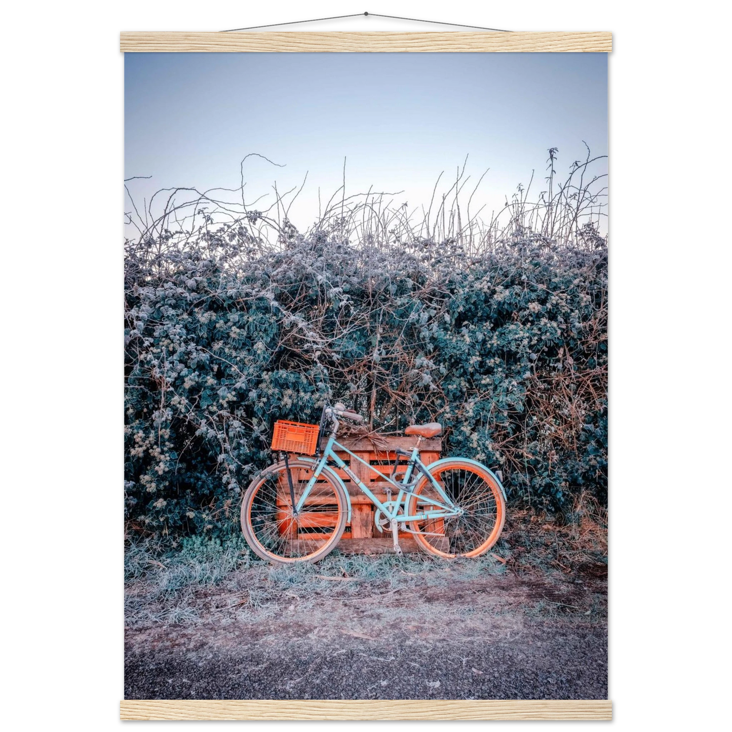 0170217d-4b34-4157-a486-336a87bd698d