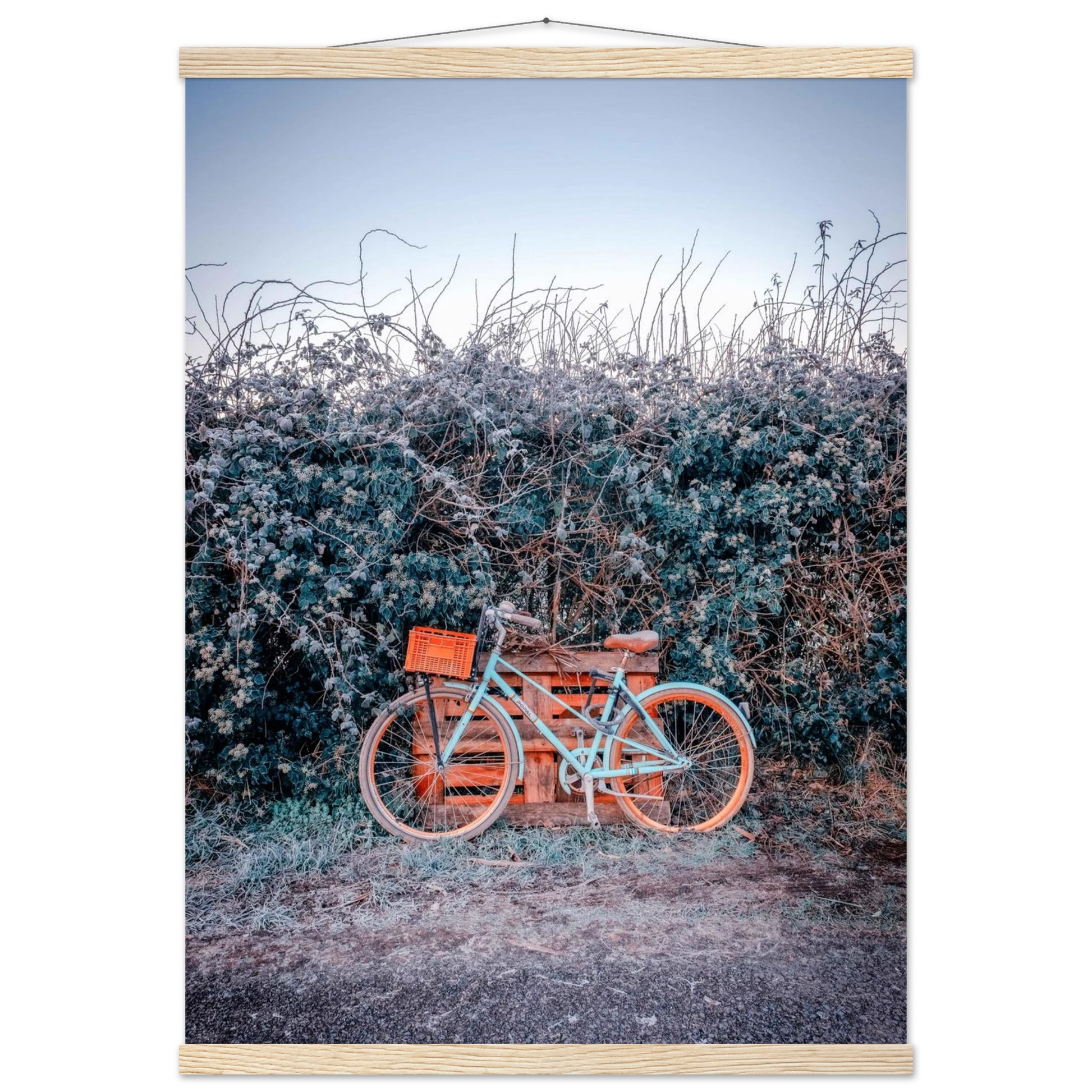 0170217d-4b34-4157-a486-336a87bd698d