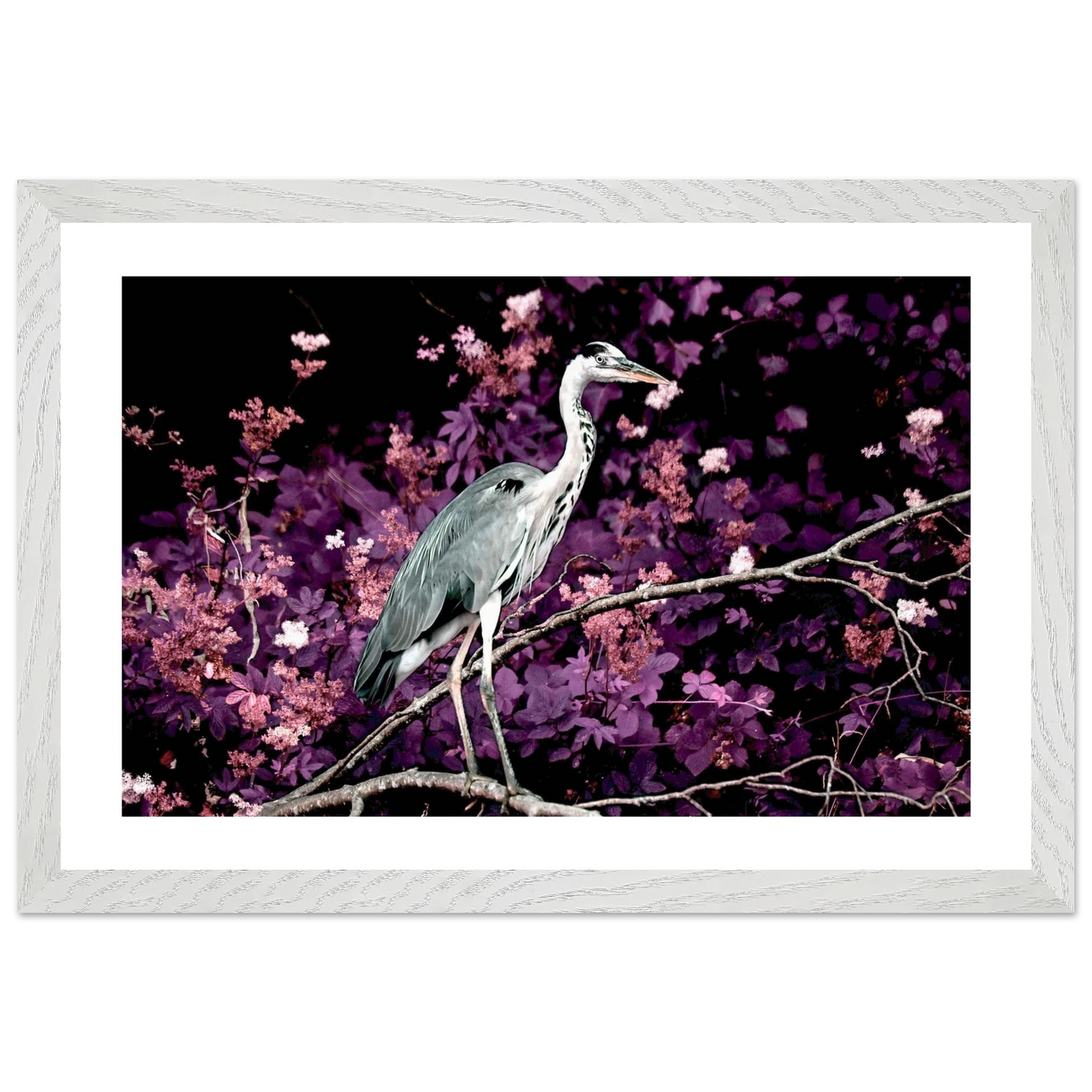 01761a2d-cc65-4d07-9cdf-a8d4ae498bfb