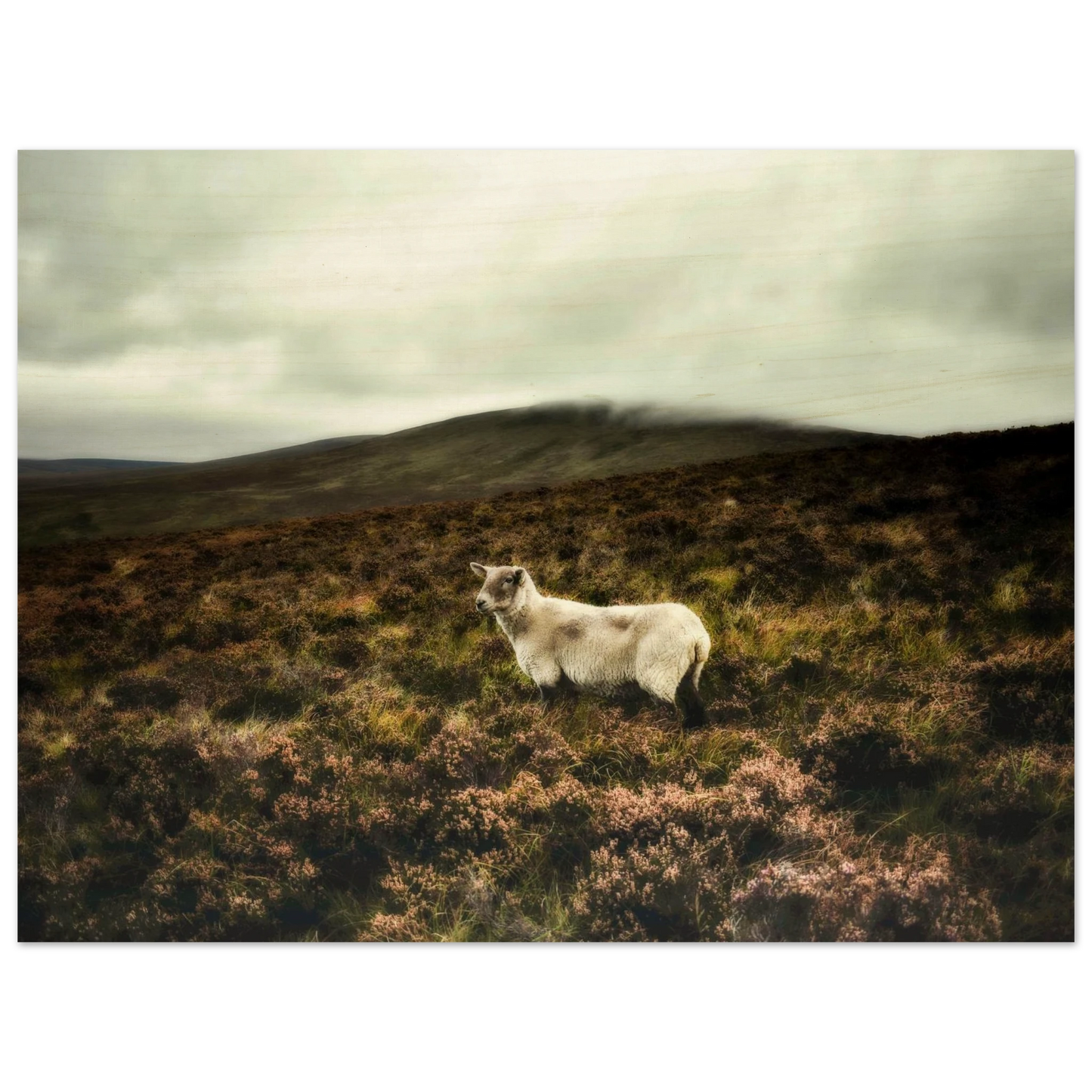 0182d4be-83e0-47d0-9b1c-8b161cfdacd4