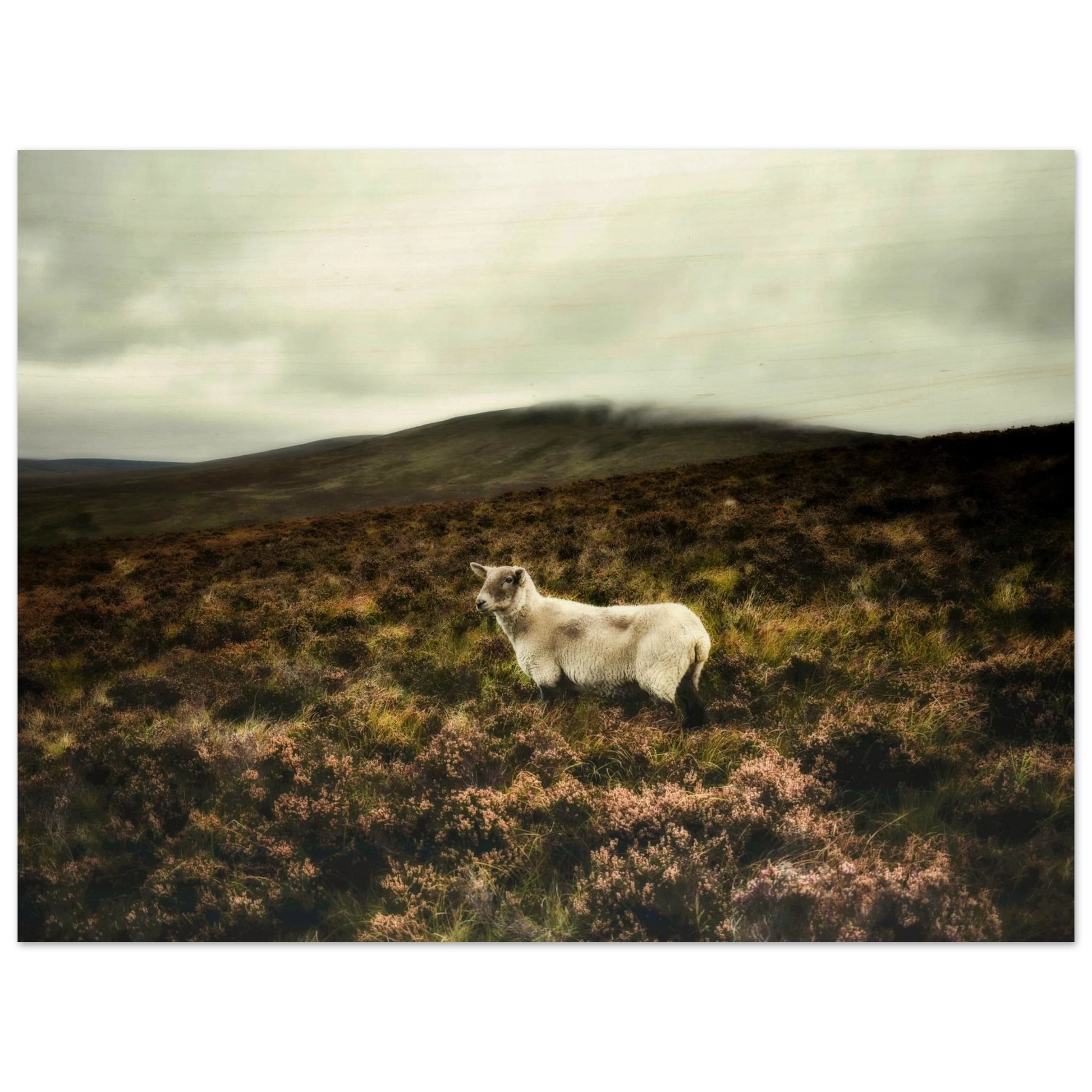 0182d4be-83e0-47d0-9b1c-8b161cfdacd4