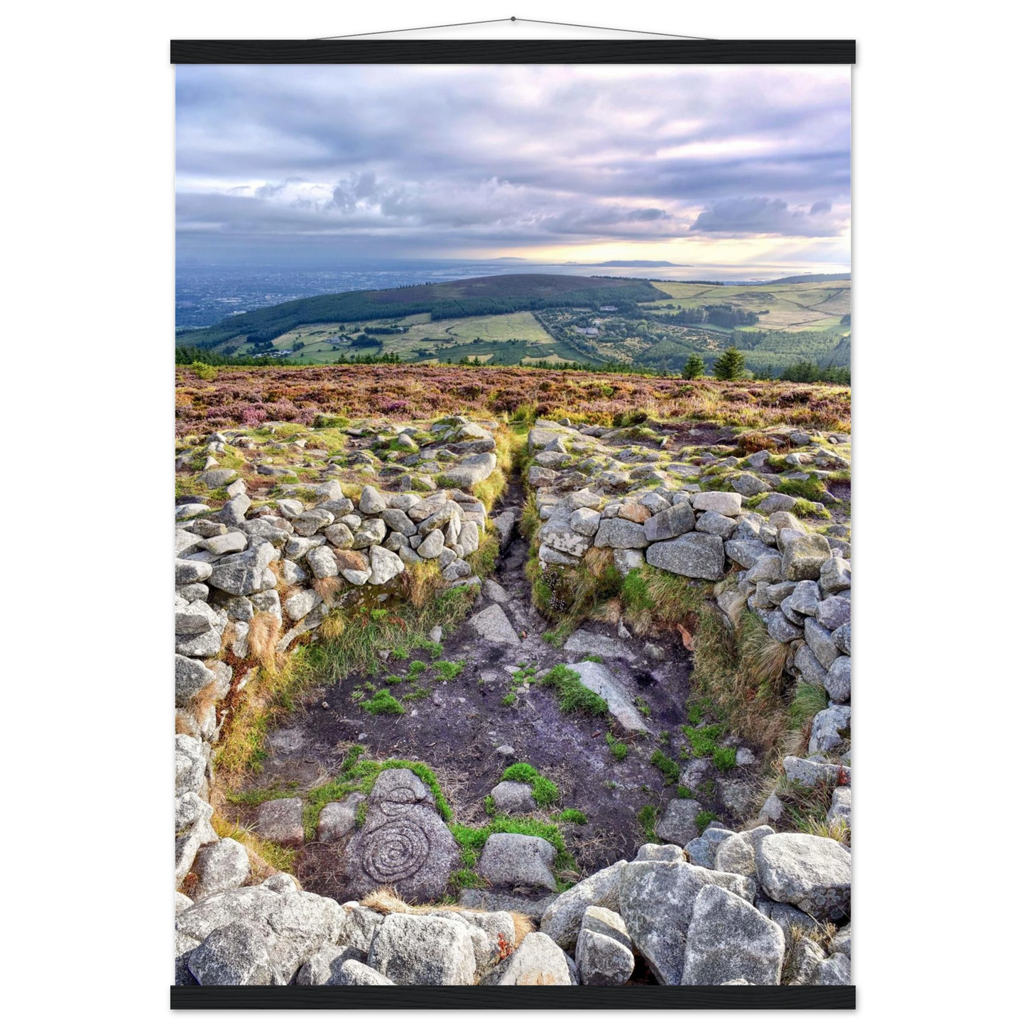 0186867e-d346-4f14-840d-3fd92f4c5b10