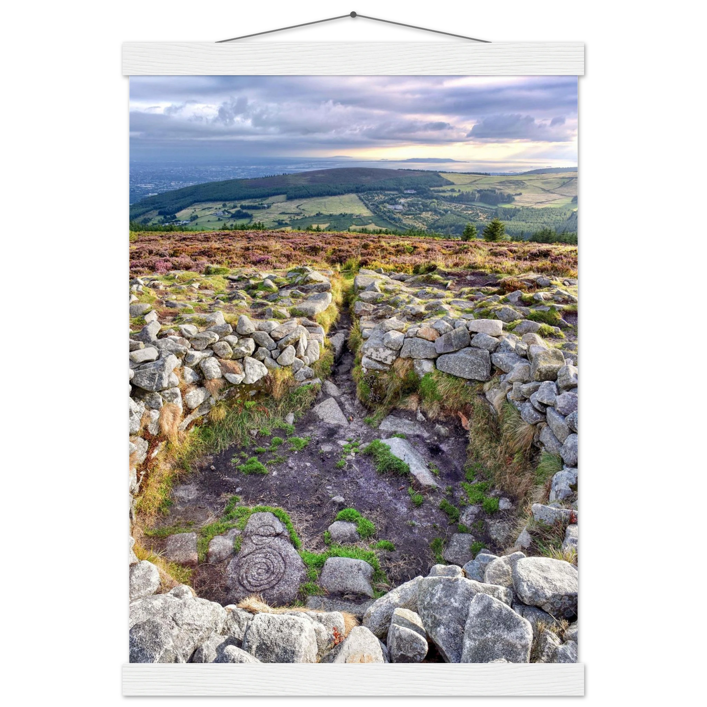 0217f573-436c-4e0e-b597-a4128f65557f