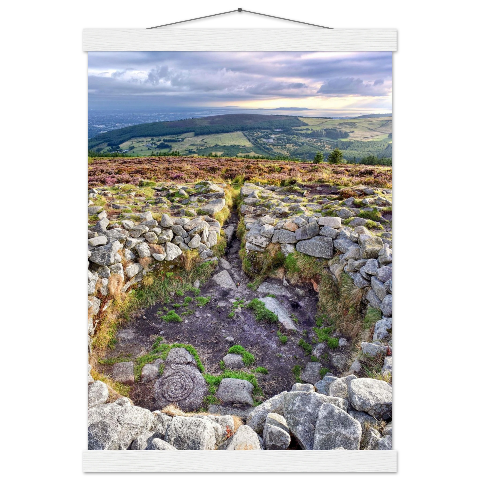 0217f573-436c-4e0e-b597-a4128f65557f