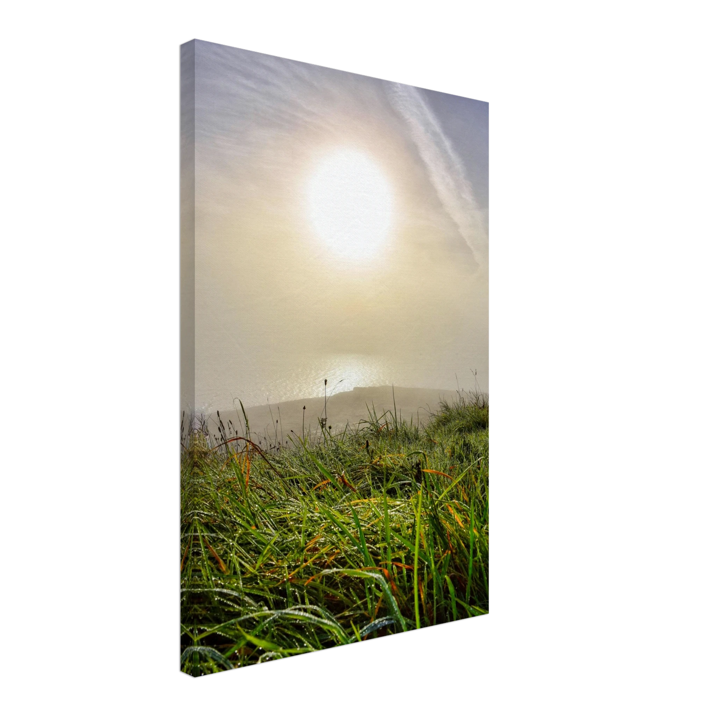 023f2087-2678-46f6-834e-37c239e10e87