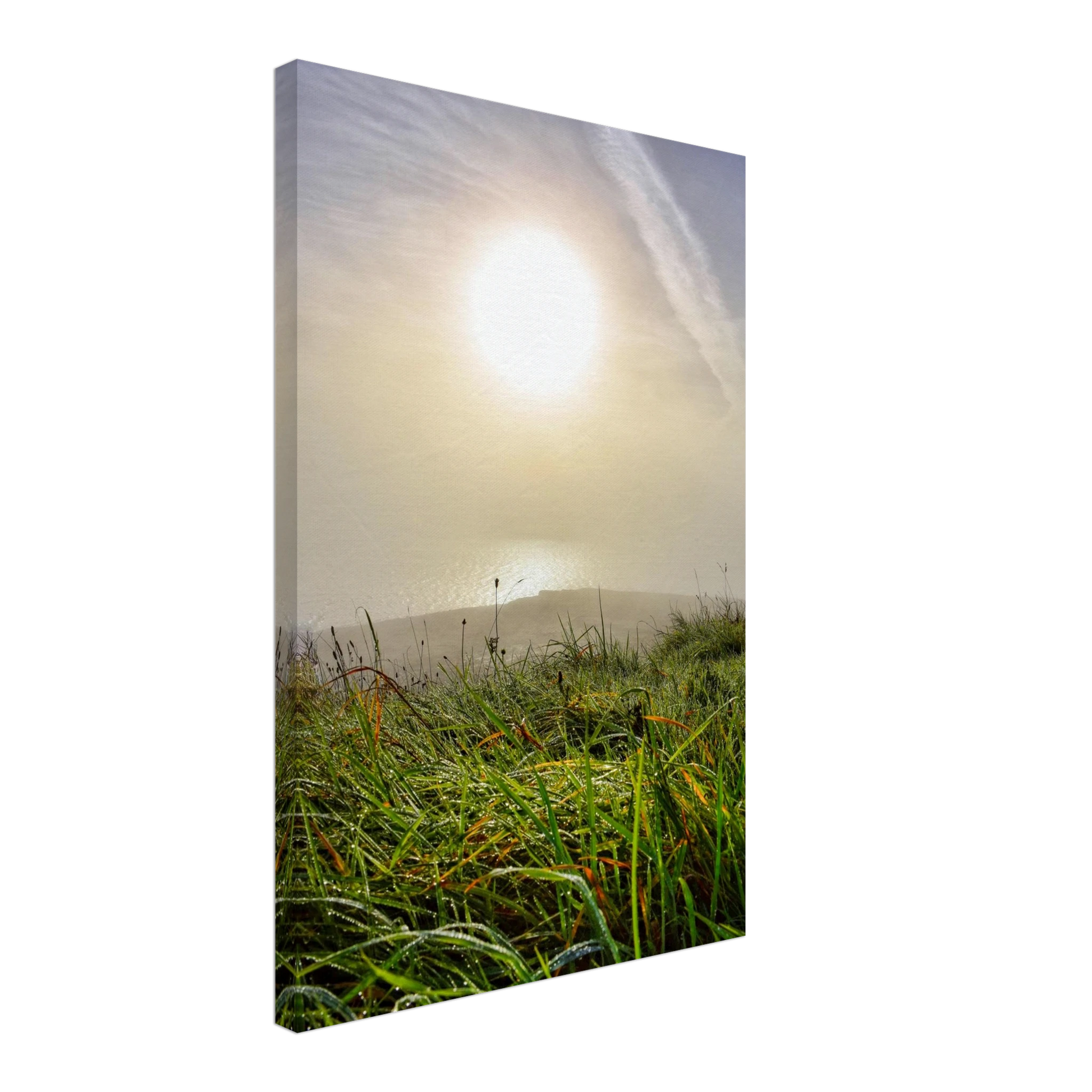 023f2087-2678-46f6-834e-37c239e10e87