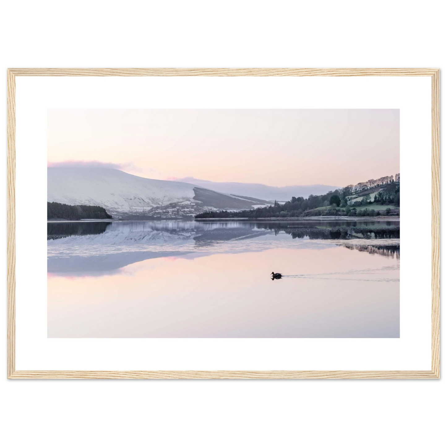 02690d47-2050-49cb-ba73-c947e64d6972