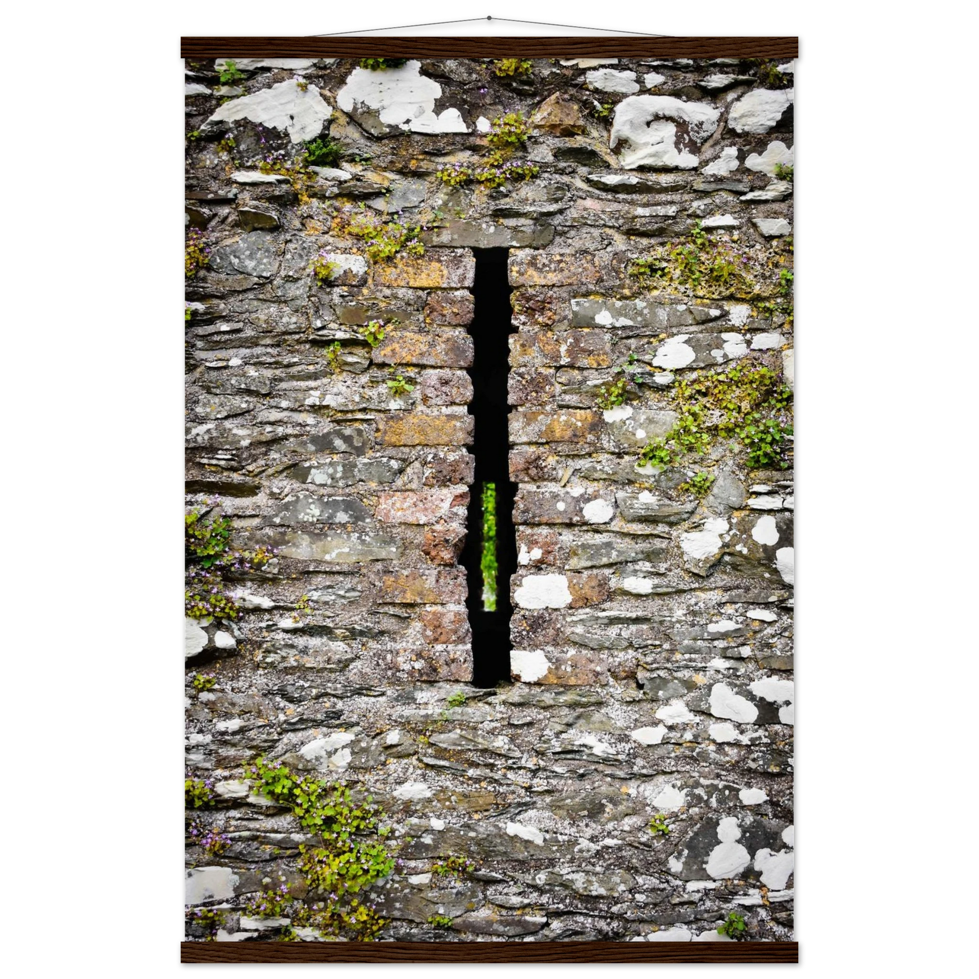 027c5690-f0cb-48c1-9c53-f9fec0c28417