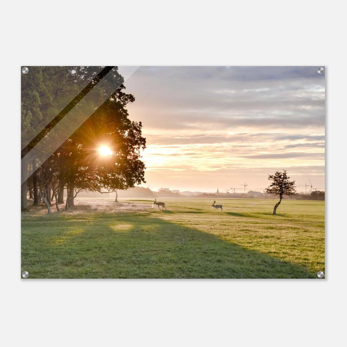 02921f37-fde9-42d3-9044-098818cb210c