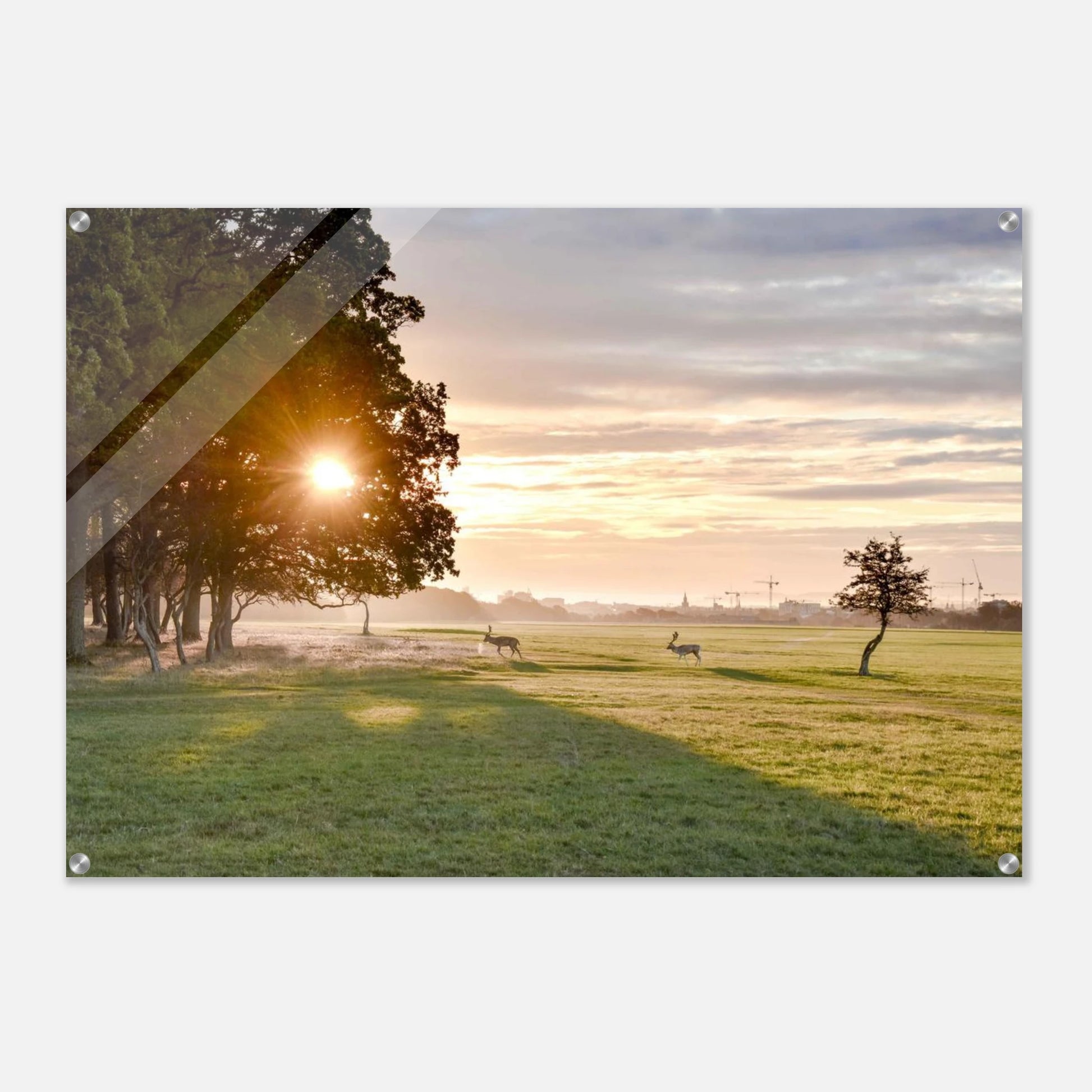 02921f37-fde9-42d3-9044-098818cb210c